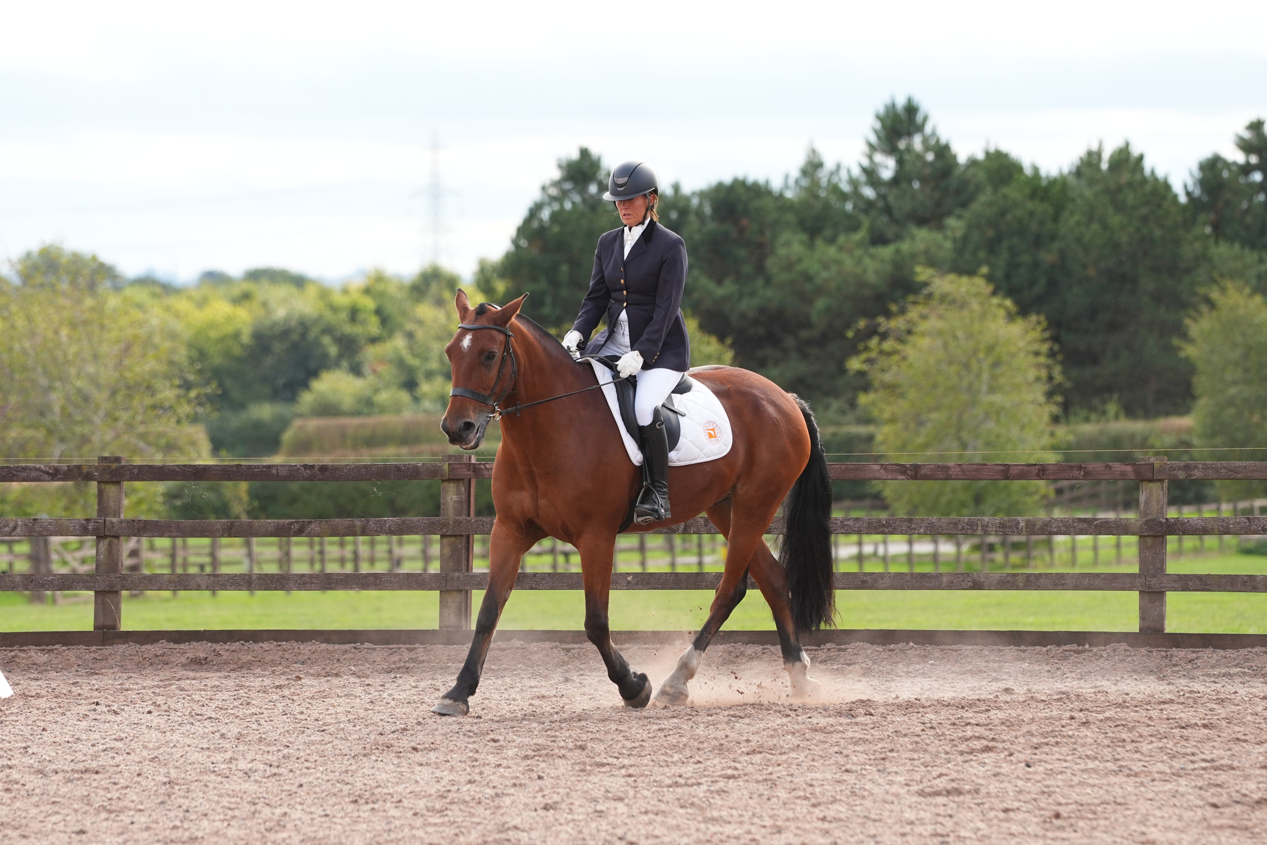 Dressage. Leicestershire Equine Photography by El | Authentic Equine Portraits & Events