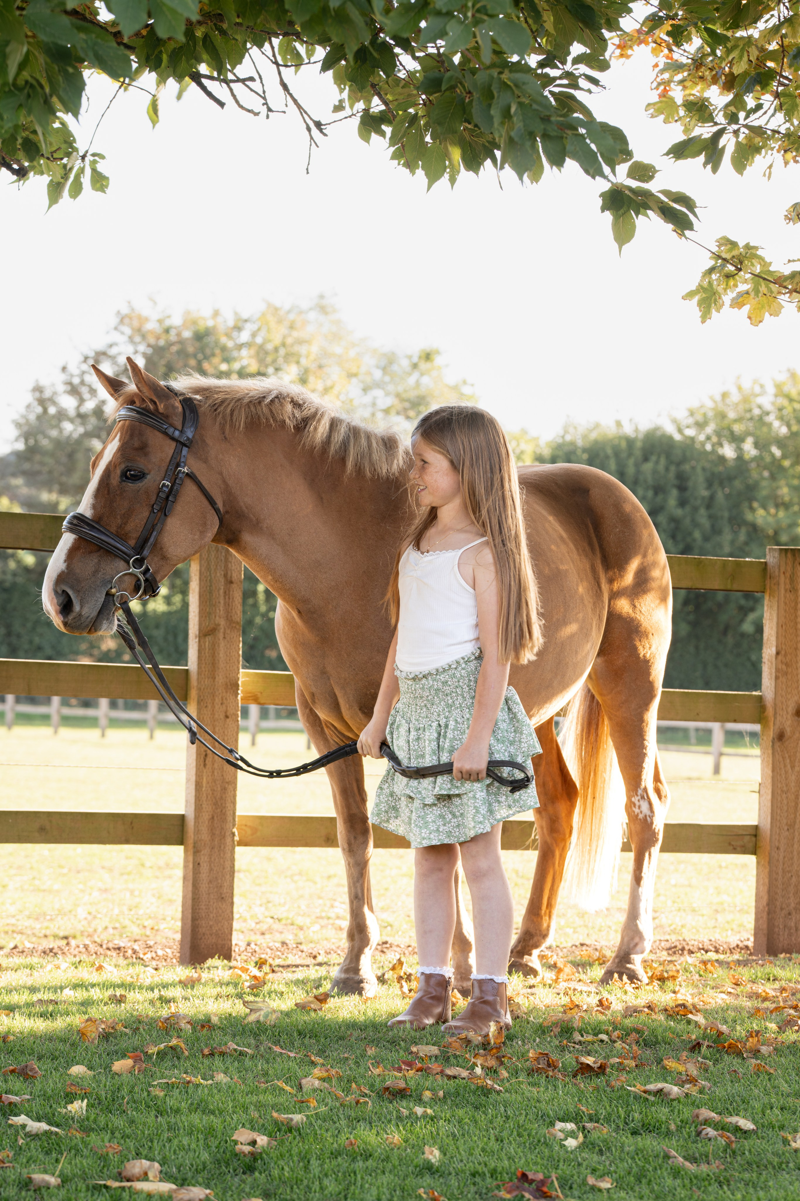Equine Photography Portfolio | Leicestershire Horse Portrait Photographer. Leicestershire Equine Photography by El | Authentic Equine Portraits & Events