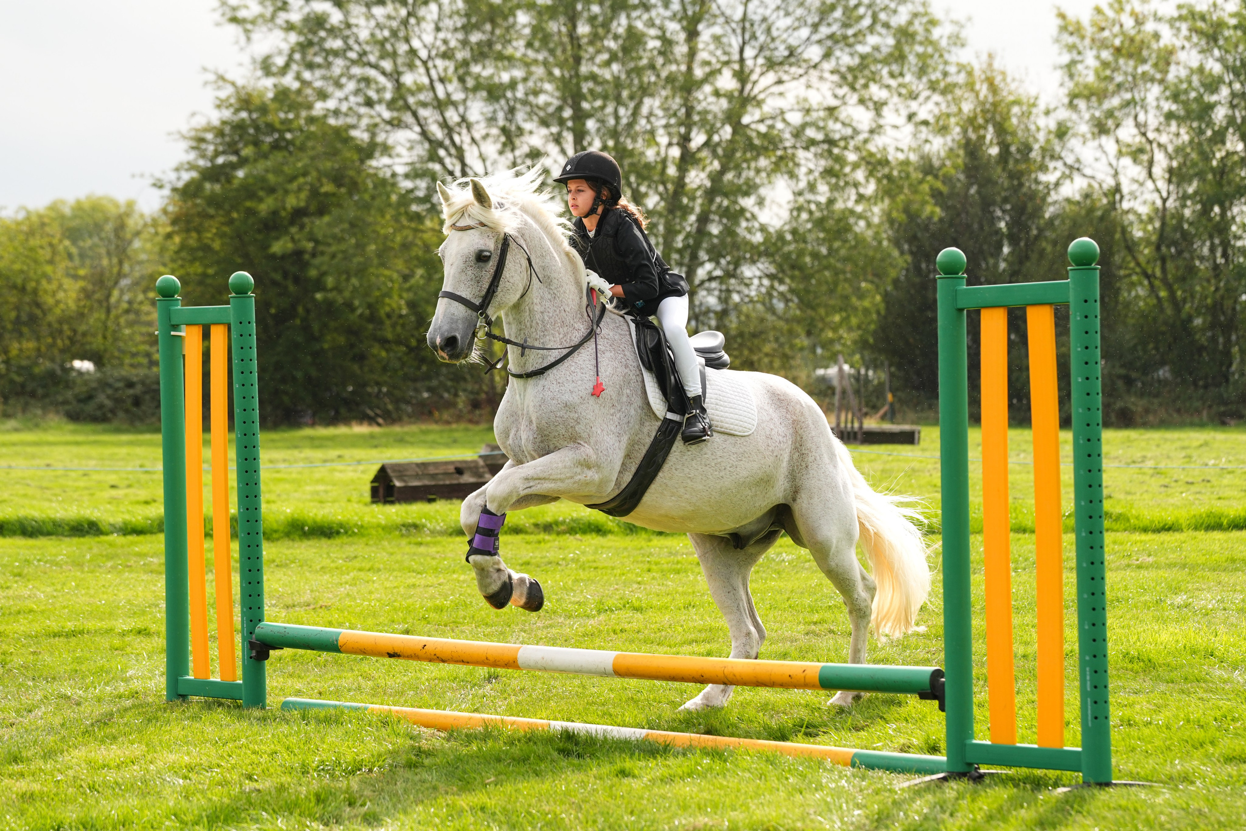 Show Jumping Photography in Leicestershire | Equine Action Shots by El. Leicestershire Equine Photography by El | Authentic Equine Portraits & Events