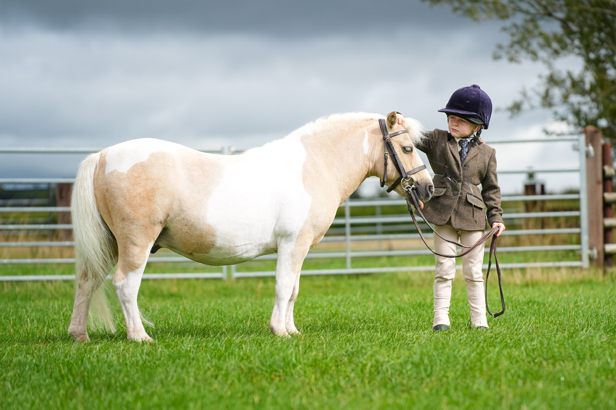 Showing. Leicestershire Equine Photography by El | Authentic Equine Portraits & Events