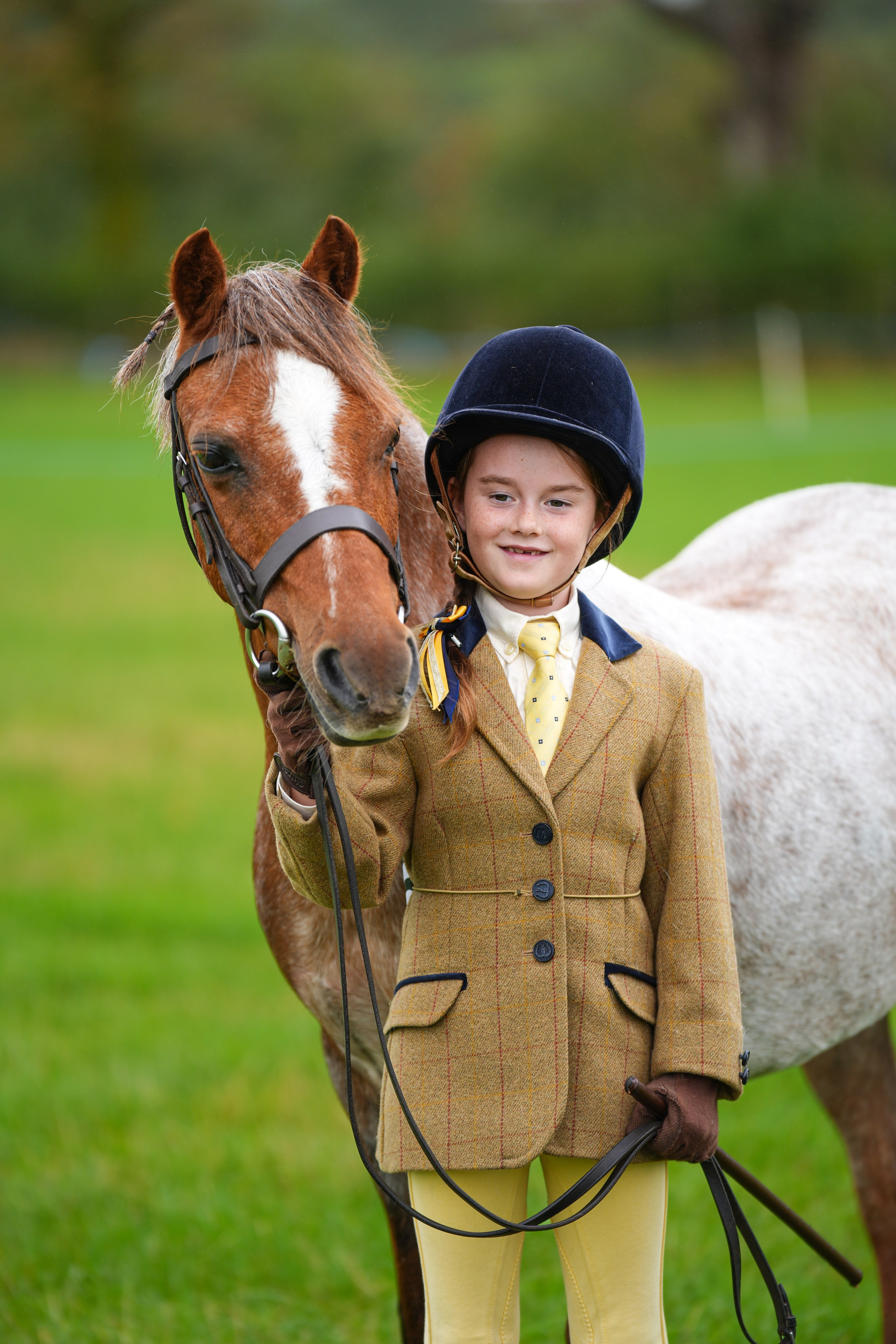 Showing. Leicestershire Equine Photography by El | Authentic Equine Portraits & Events