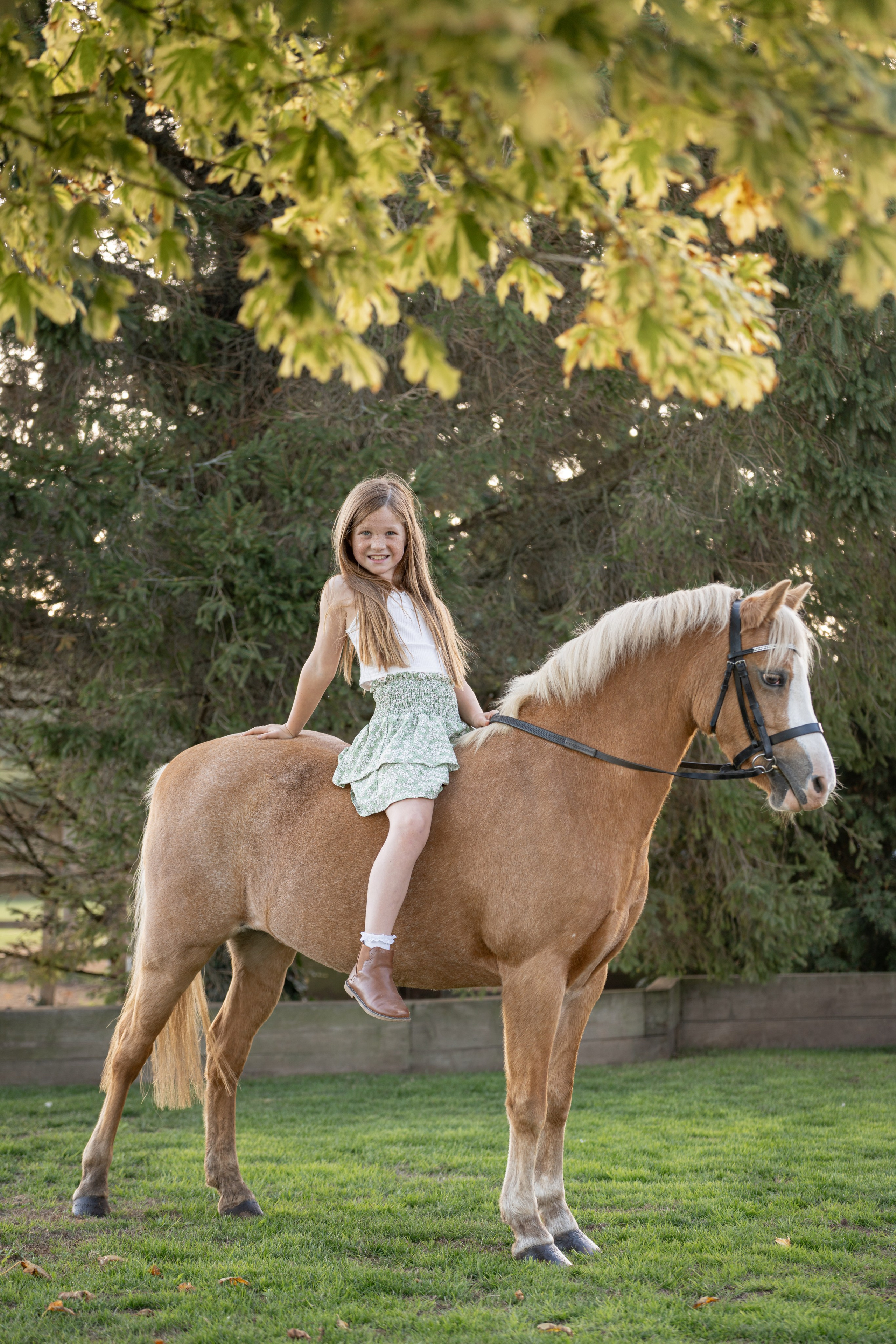 Equine Photography Portfolio | Leicestershire Horse Portrait Photographer. Leicestershire Equine Photography by El | Authentic Equine Portraits & Events