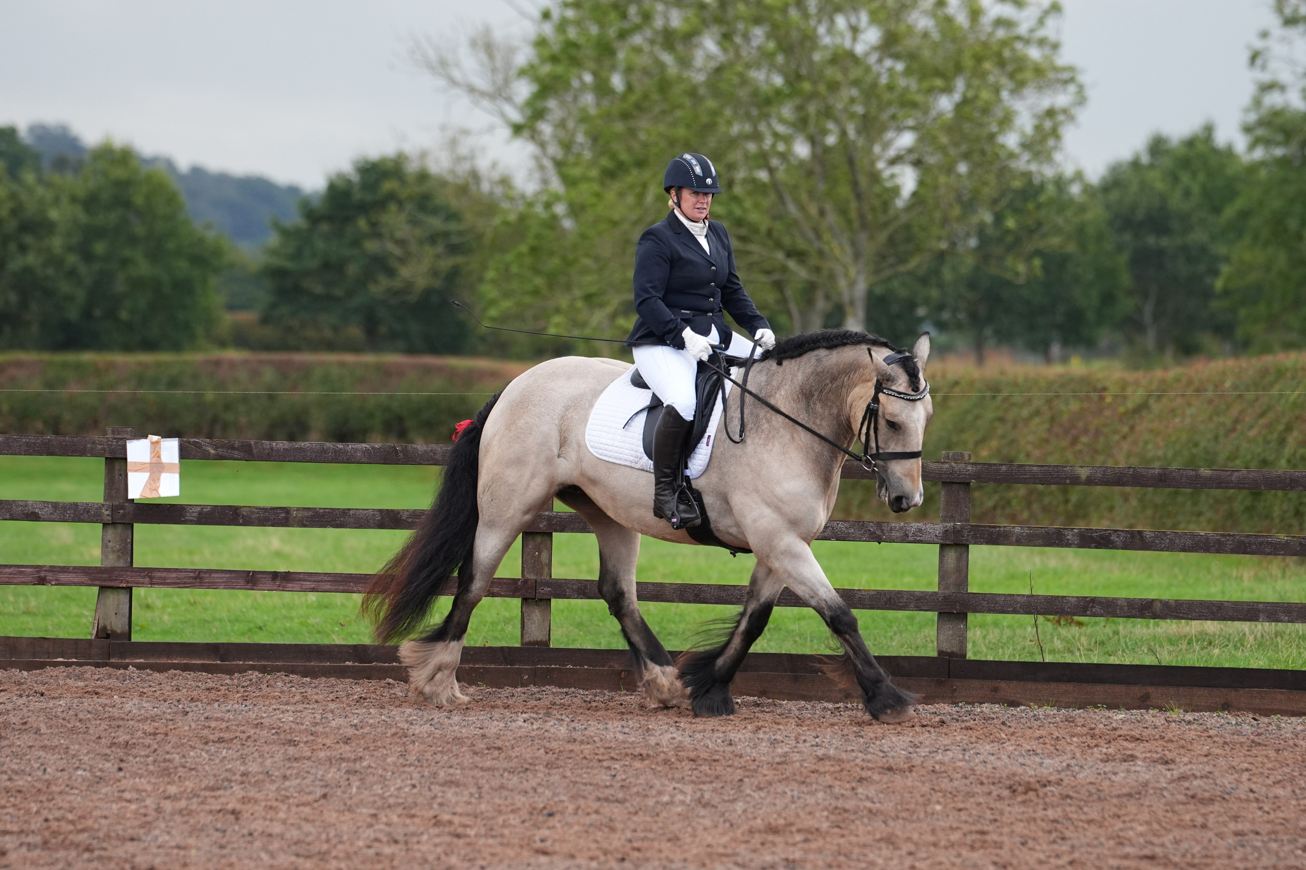 Dressage. Leicestershire Equine Photography by El | Authentic Equine Portraits & Events