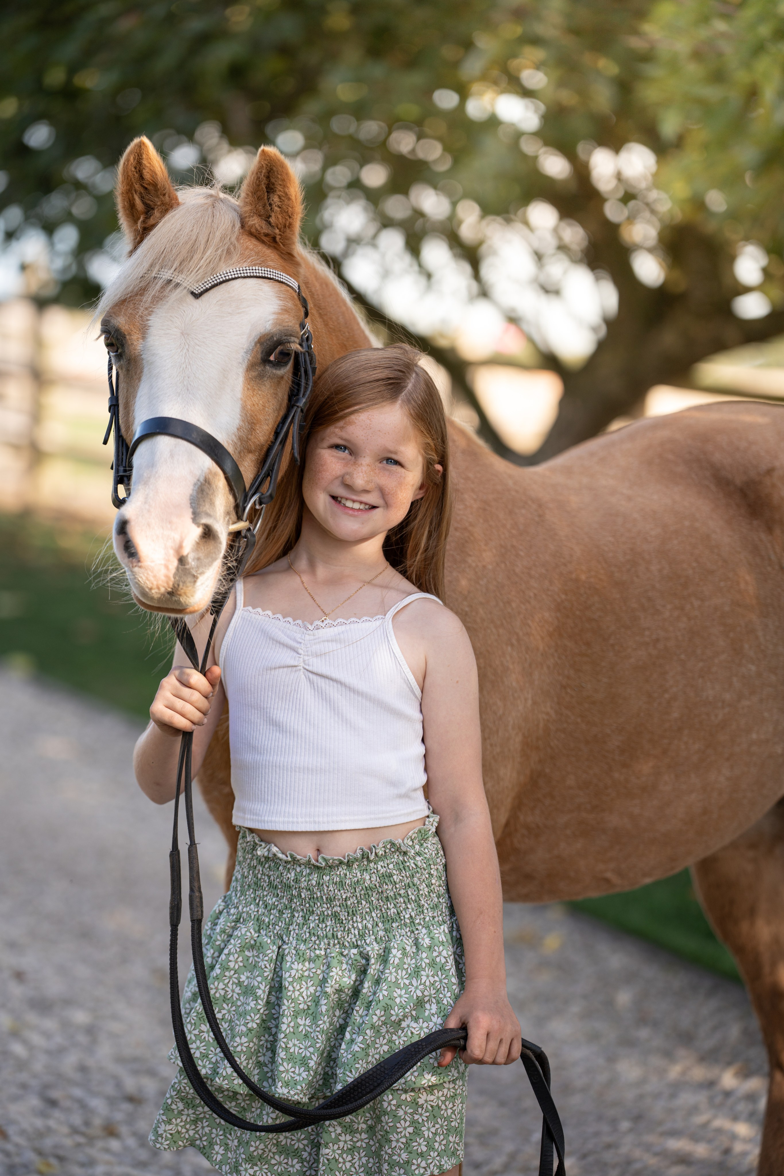 Equine Photography Portfolio | Leicestershire Horse Portrait Photographer. Leicestershire Equine Photography by El | Authentic Equine Portraits & Events