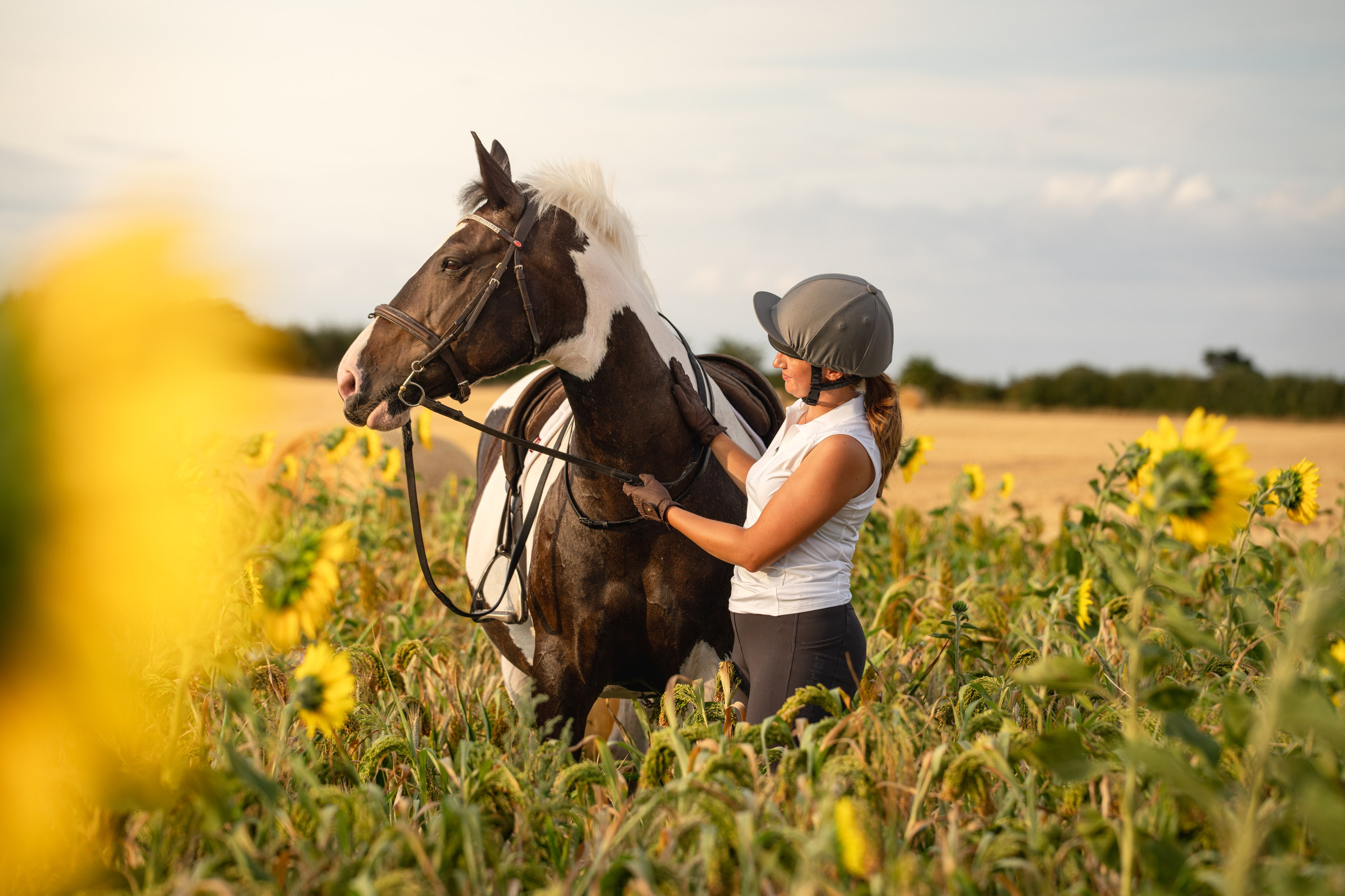 Equine Photography Portfolio | Leicestershire Horse Portrait Photographer. Leicestershire Equine Photography by El | Authentic Equine Portraits & Events
