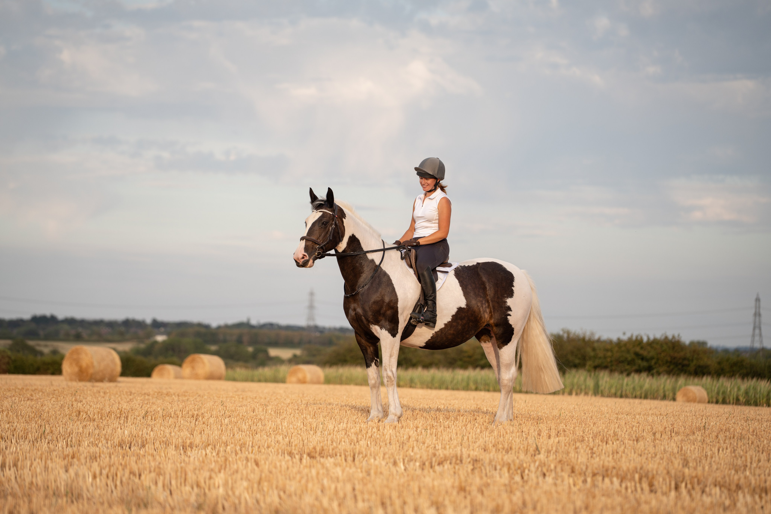 Equine Photography Portfolio | Leicestershire Horse Portrait Photographer. Leicestershire Equine Photography by El | Authentic Equine Portraits & Events