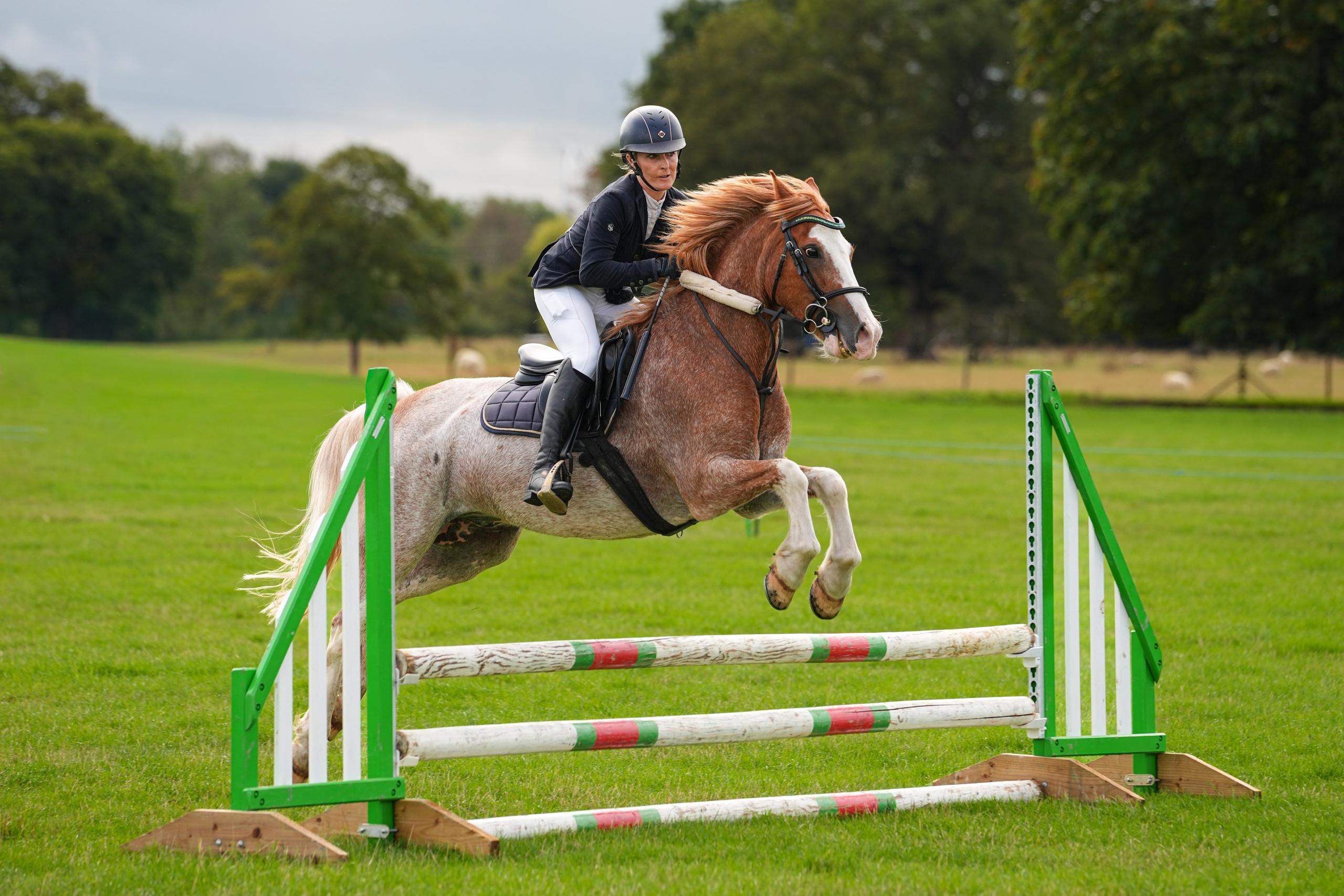 Show Jumping Photography in Leicestershire | Equine Action Shots by El. Leicestershire Equine Photography by El | Authentic Equine Portraits & Events