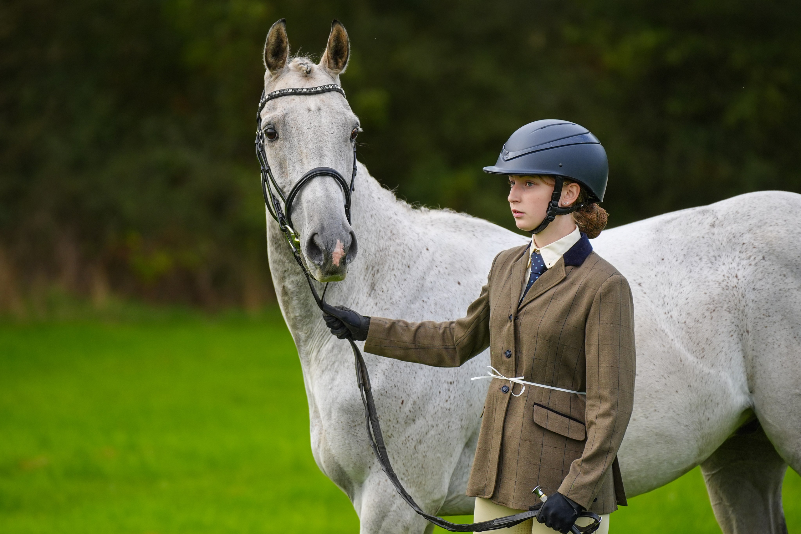 Showing. Leicestershire Equine Photography by El | Authentic Equine Portraits & Events