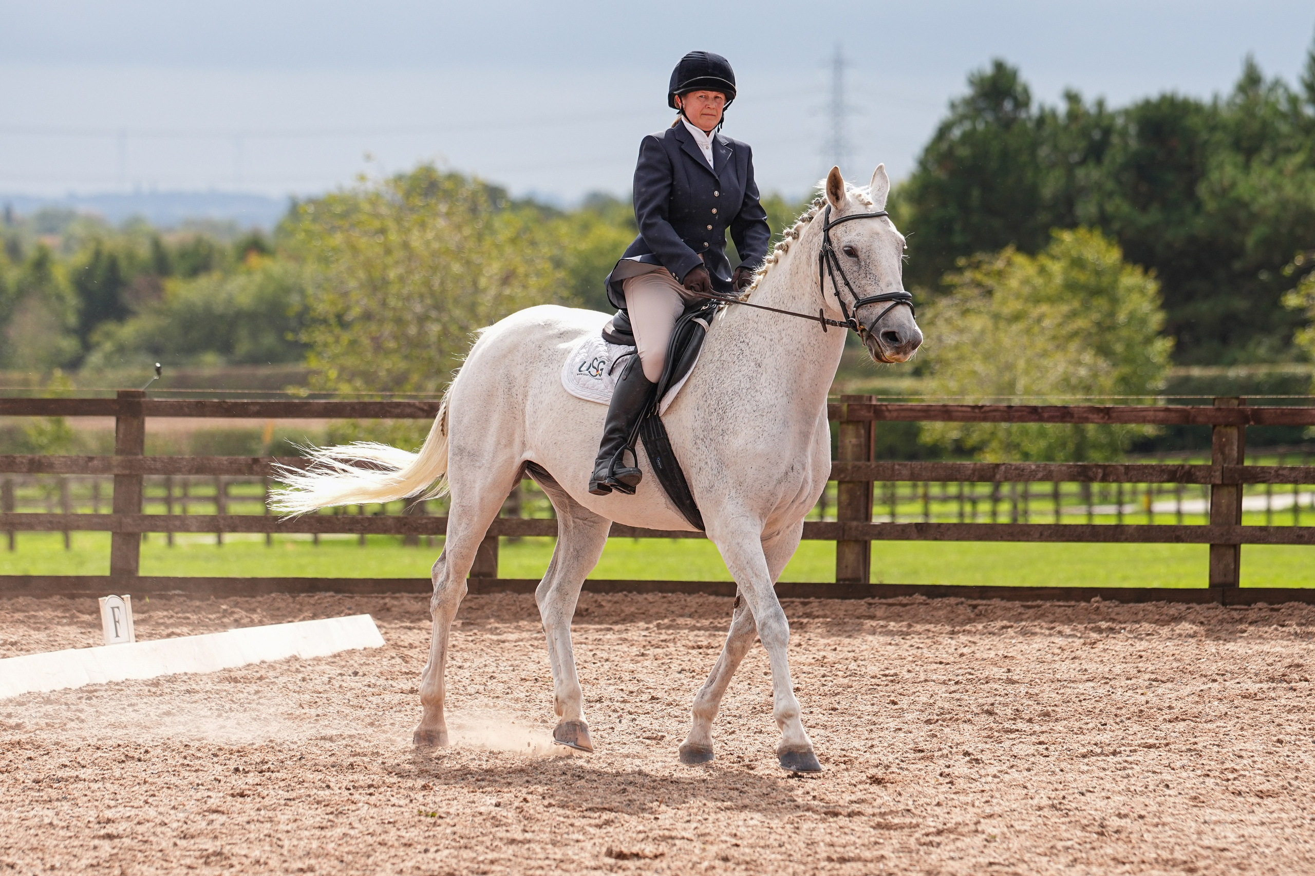 Dressage. Leicestershire Equine Photography by El | Authentic Equine Portraits & Events