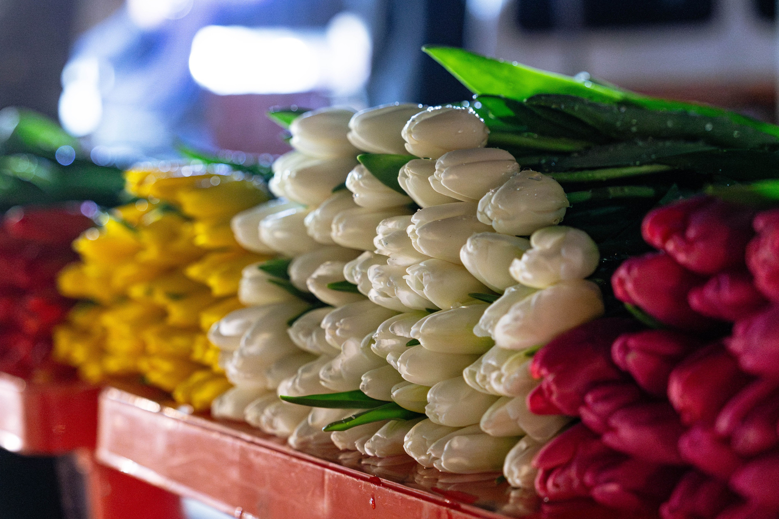 Как мужчины готовились к 8 марта. Георгий Намазов | Фотограф в Ташкенте