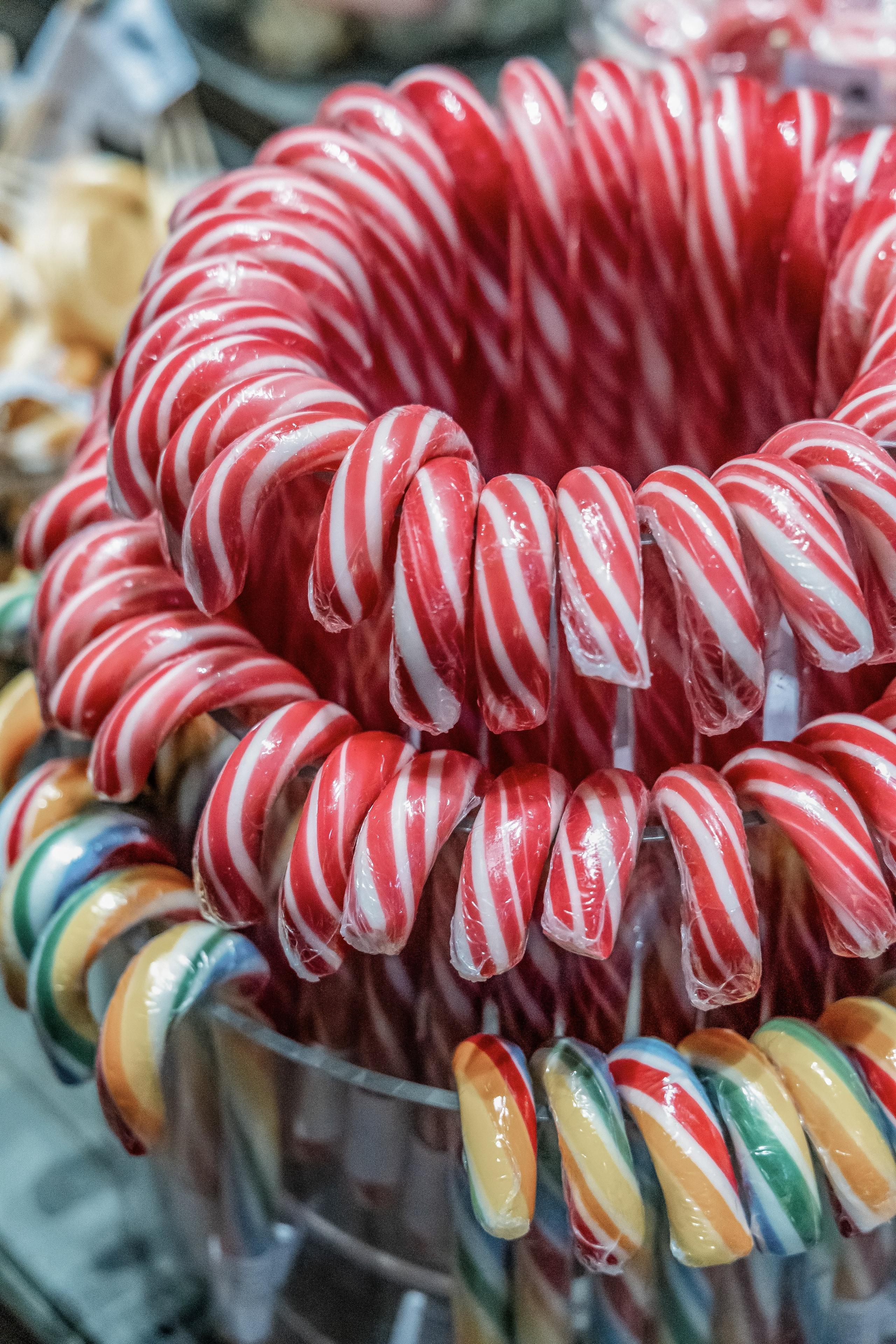 Disneyland Paris · Christmas Fantasy Sessions 2024–2025. Photographe à Paris