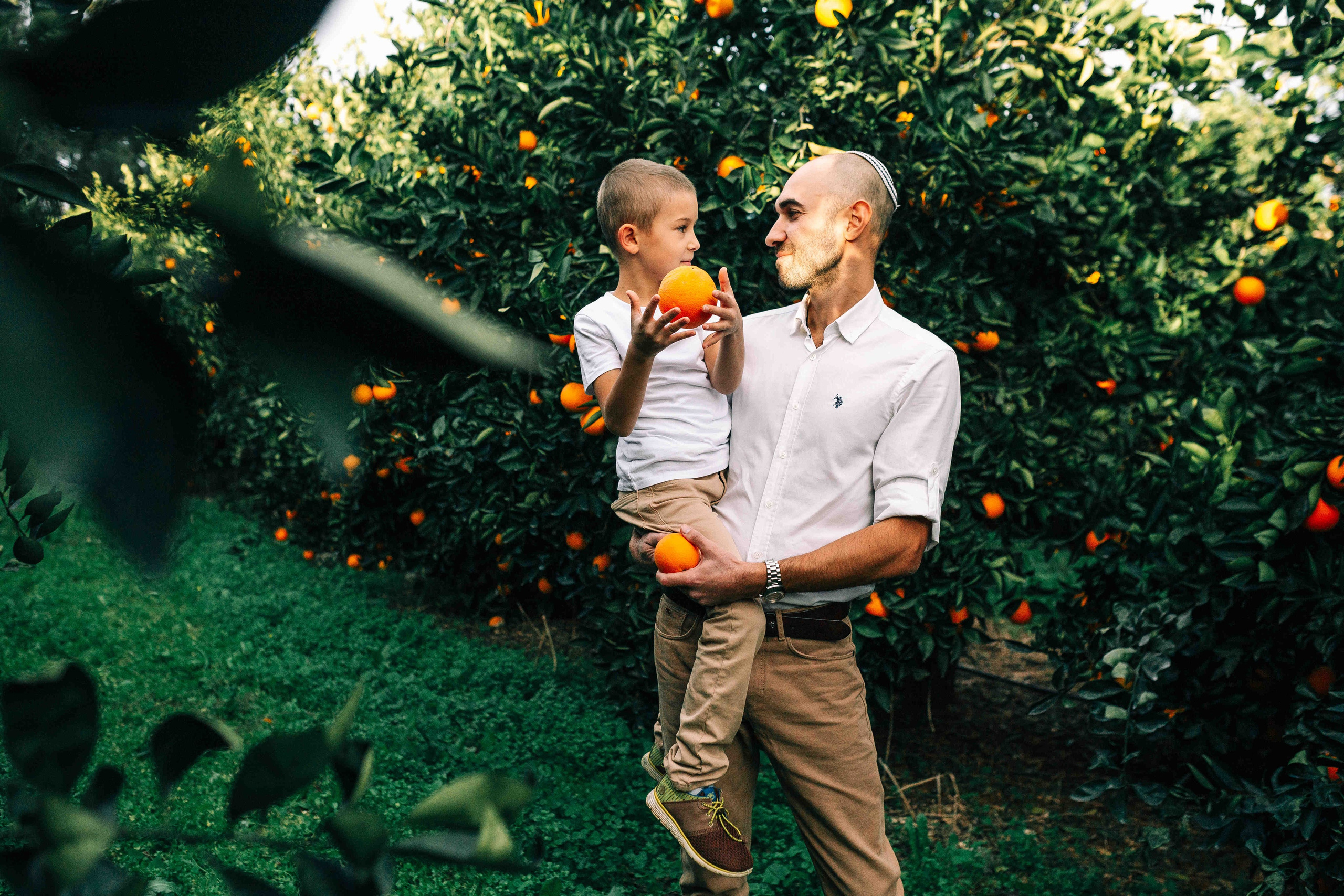 MANDARNINE GARDEN. Https://shi-photo.com/