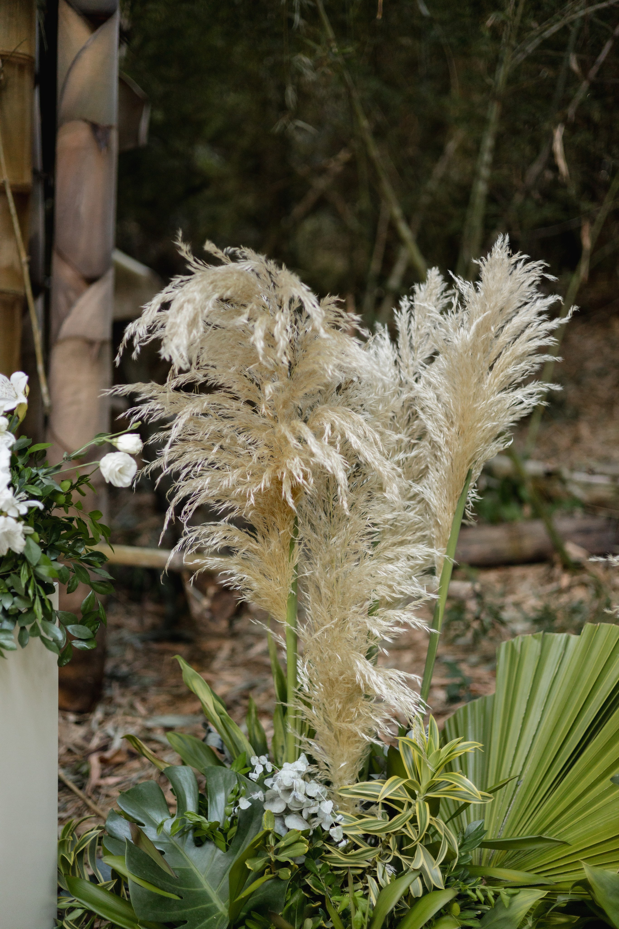 Editorial Dom Brunello