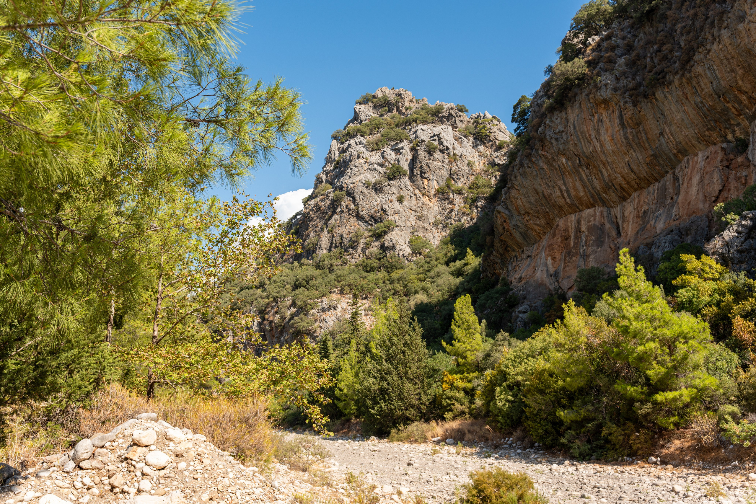 TURKEY & NATURE. UNRATED PHOTO