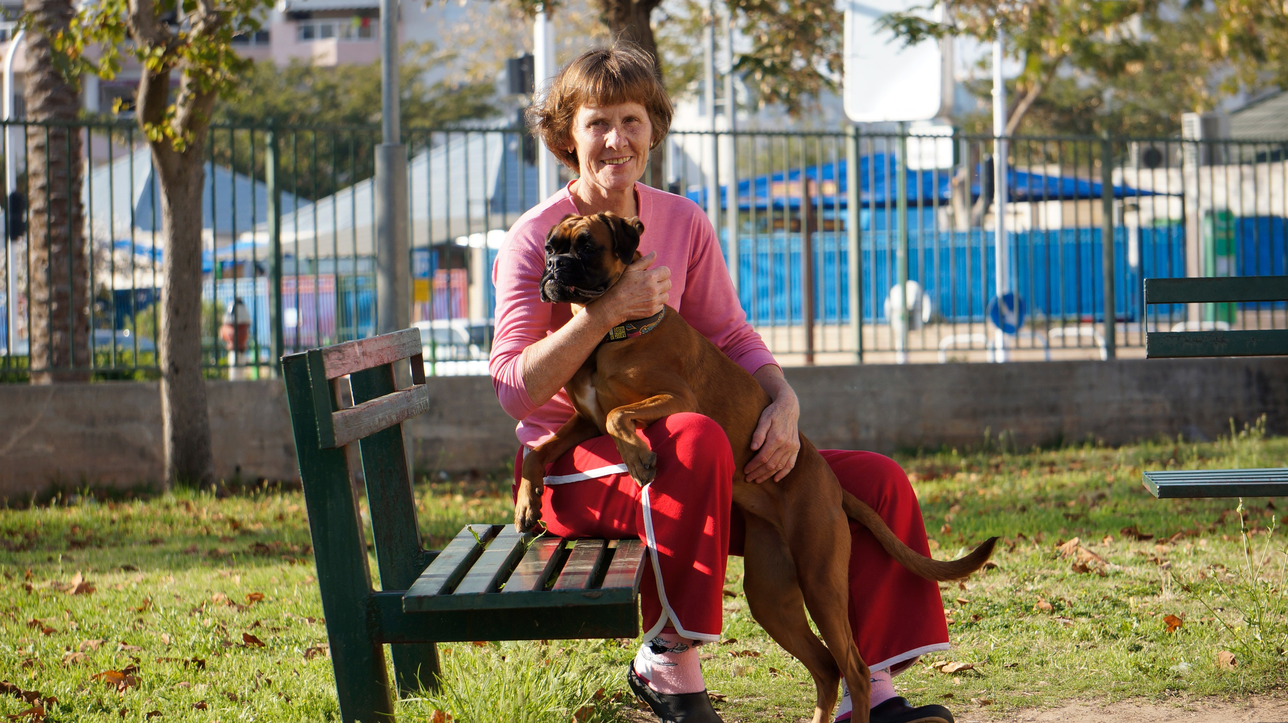 My ״Star״ Boxer Dog