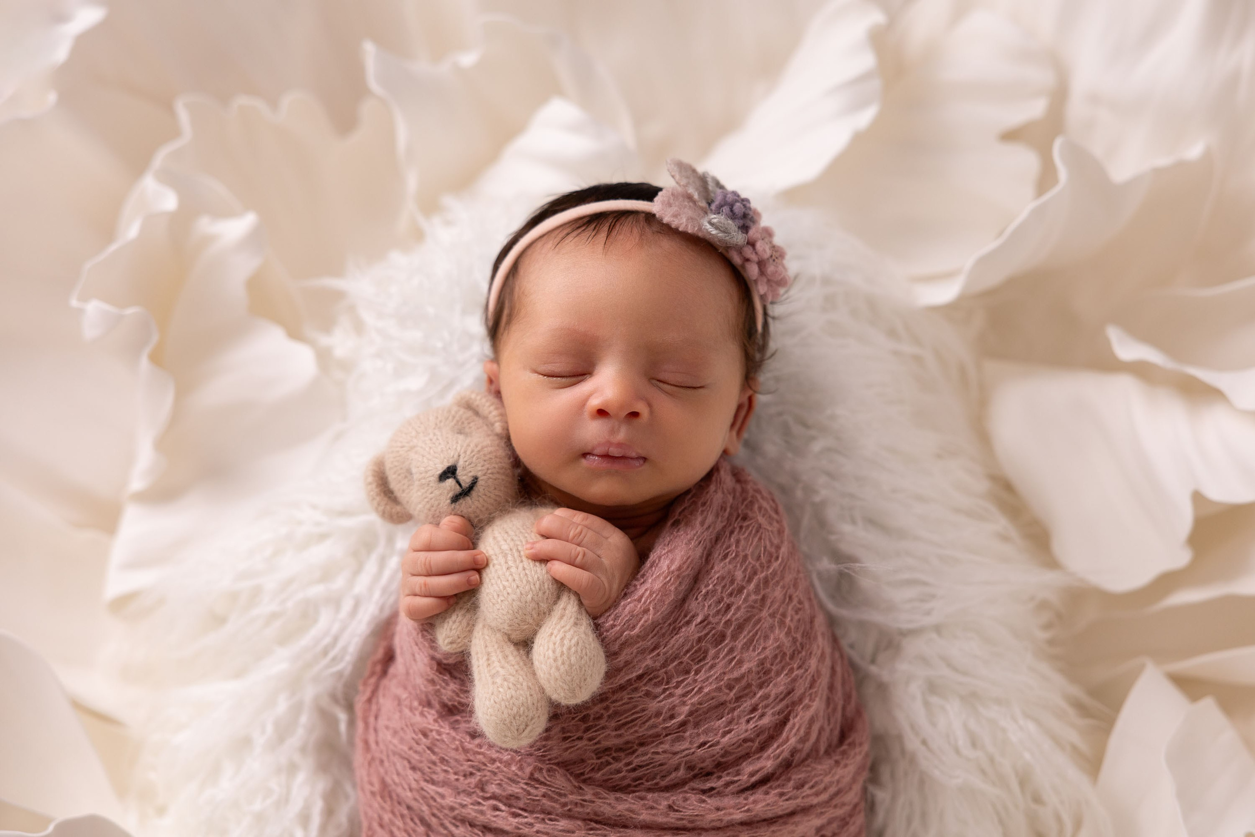 Newborn photos. Newborn photographer in Tampa Bay Area, FL