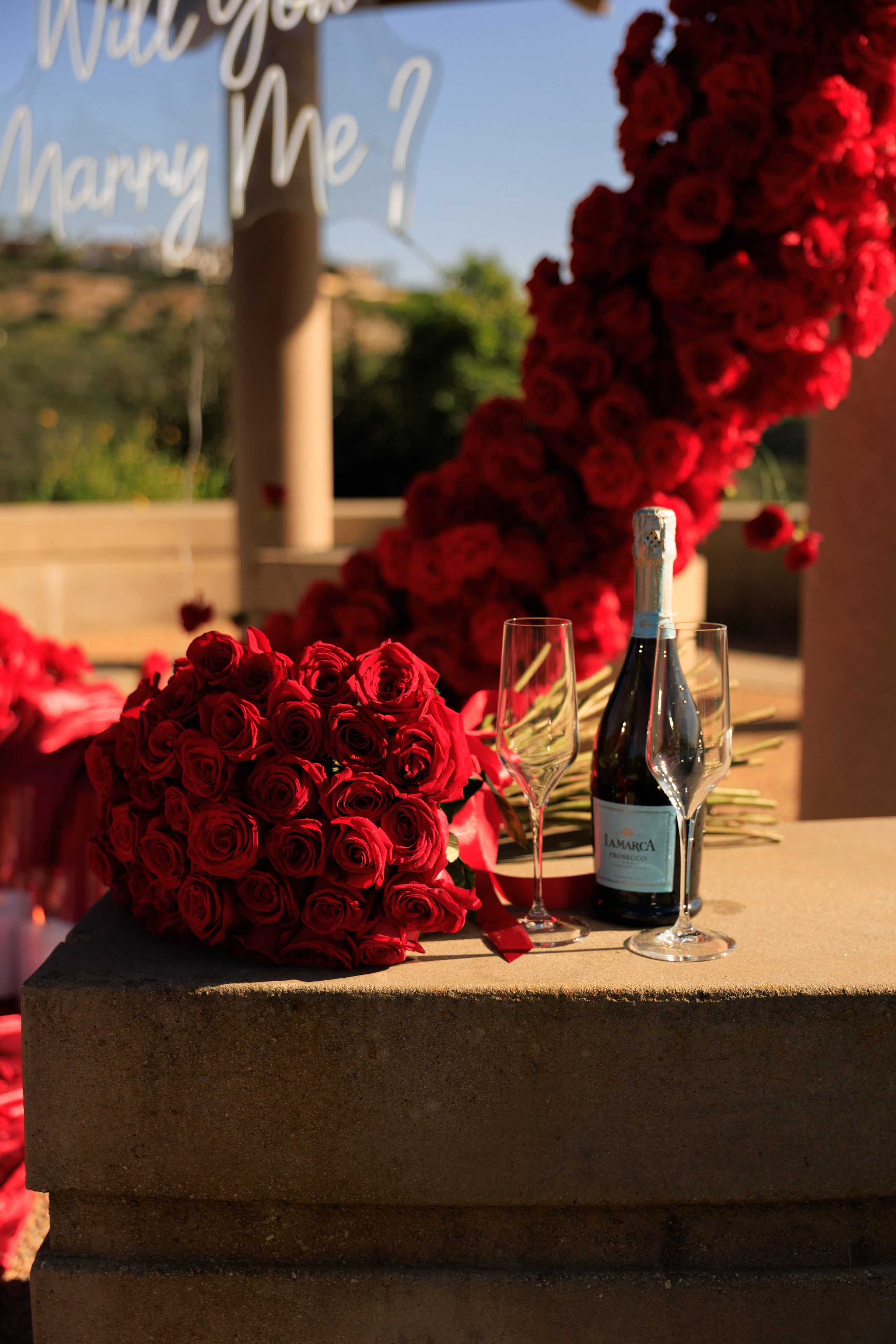 Gallery. The Yes Agency — Proposal from her dreams