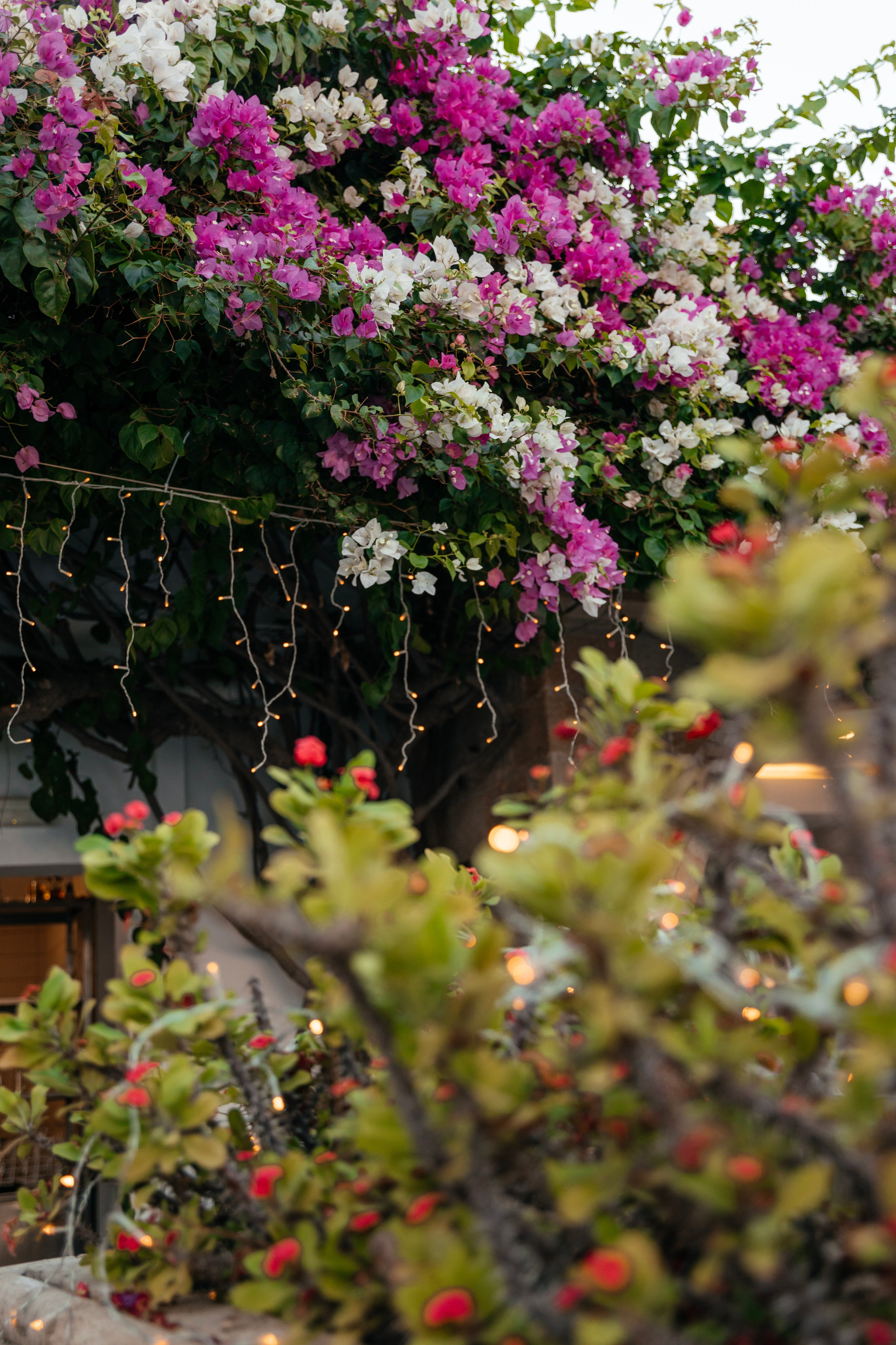 Wedding decoration in a traditional tavern in Lindos, Rhodes, Greece