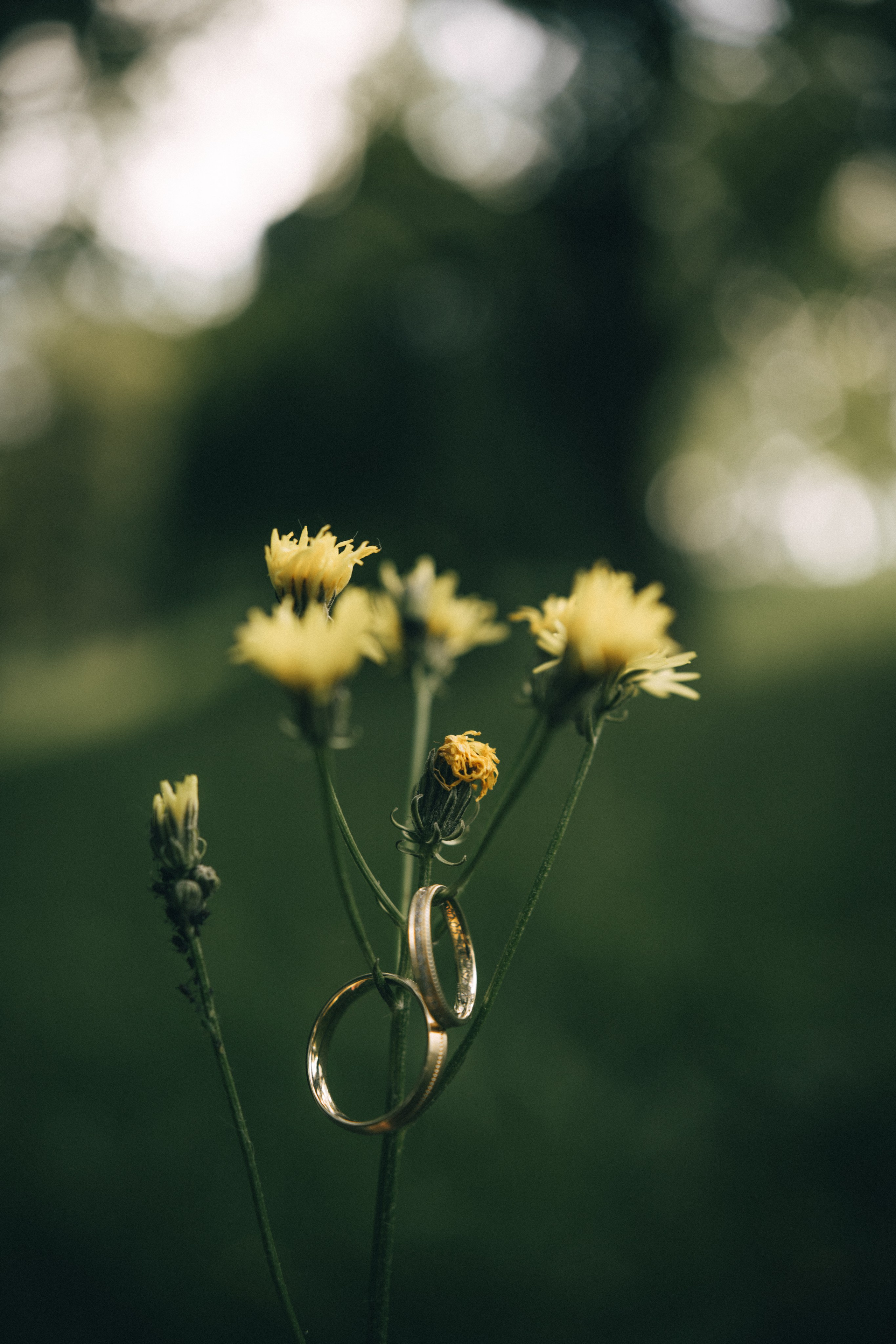 Hochzeit. Hochzeitsfotograf in Deutschland