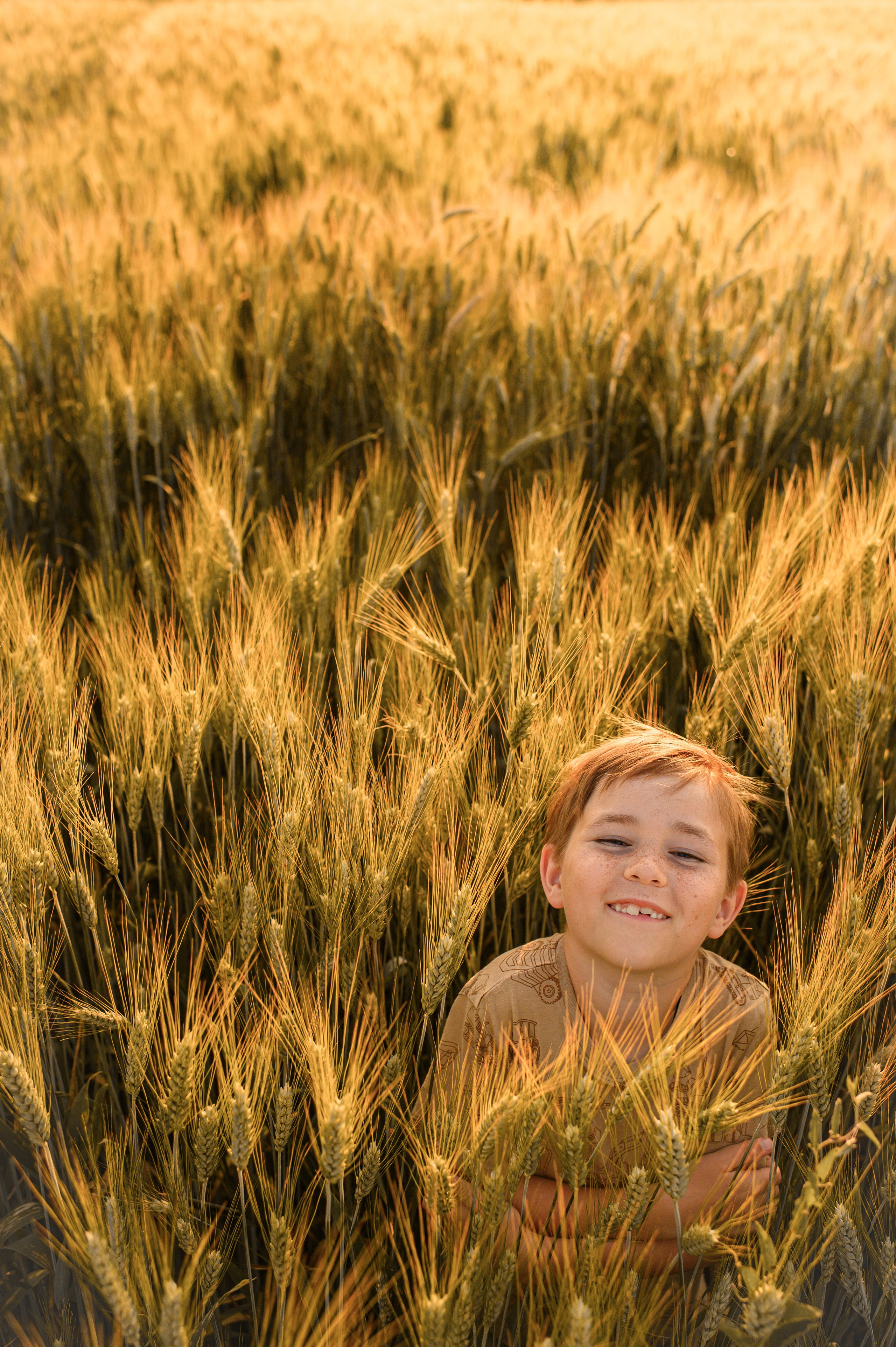 Wheat fields. Семейная, детская, портретная и предметная фотосъемка в Салониках