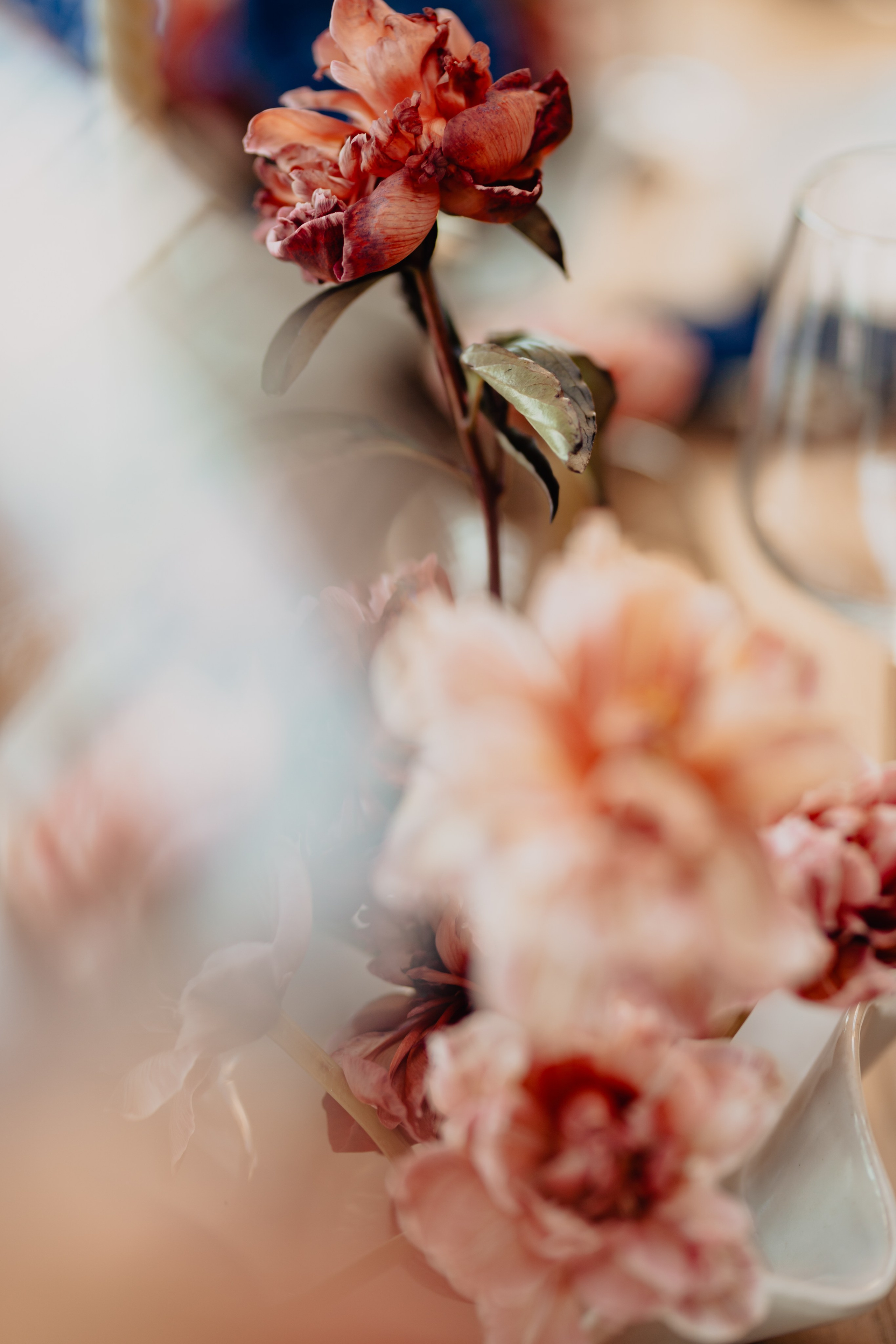 Styled shot at The Barn, Cluj. Fotograf de nunta — documenting your love story with a touch of editorial — wedding photographer