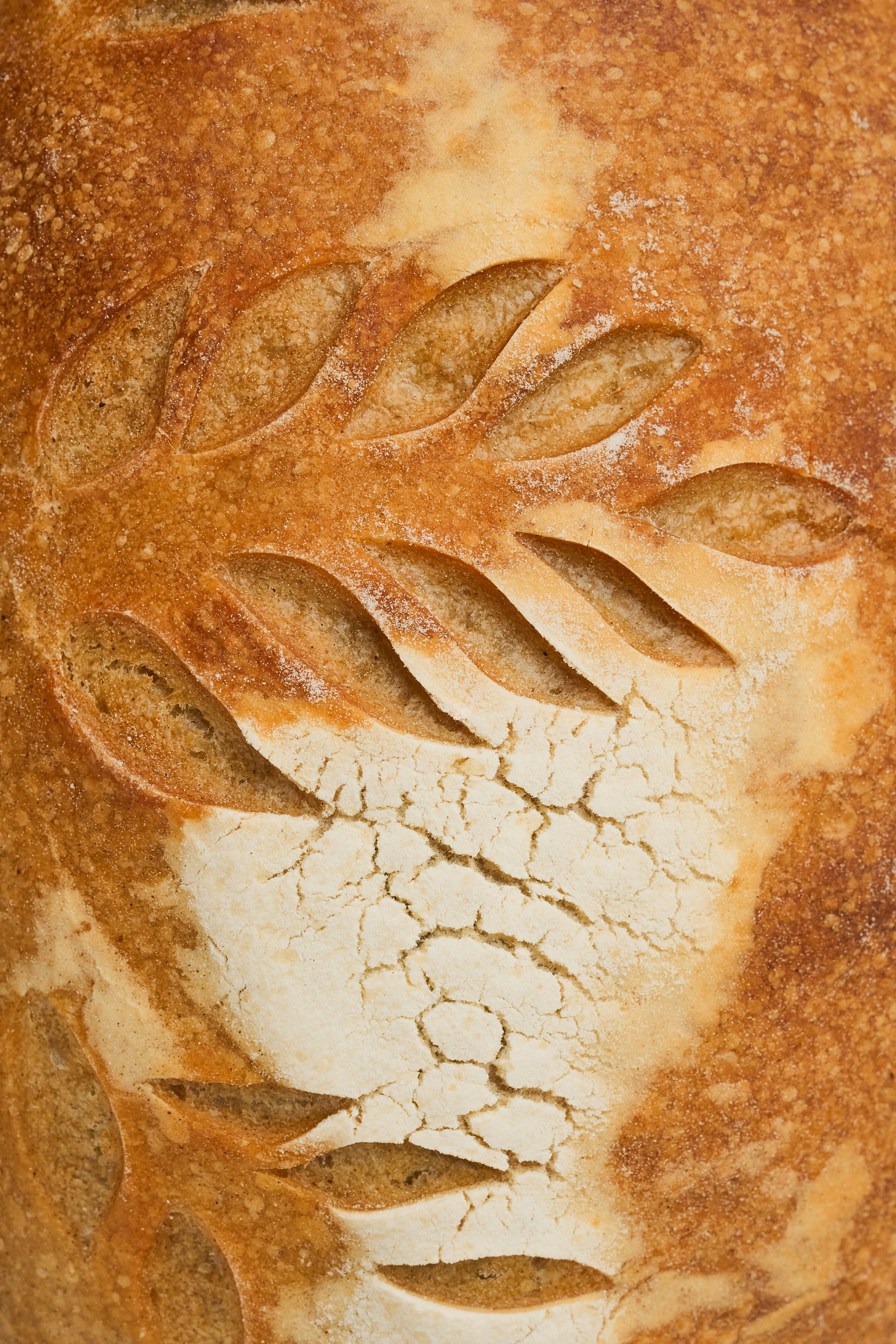 Panni bakery. Фотограф| Кишинев, Молдова