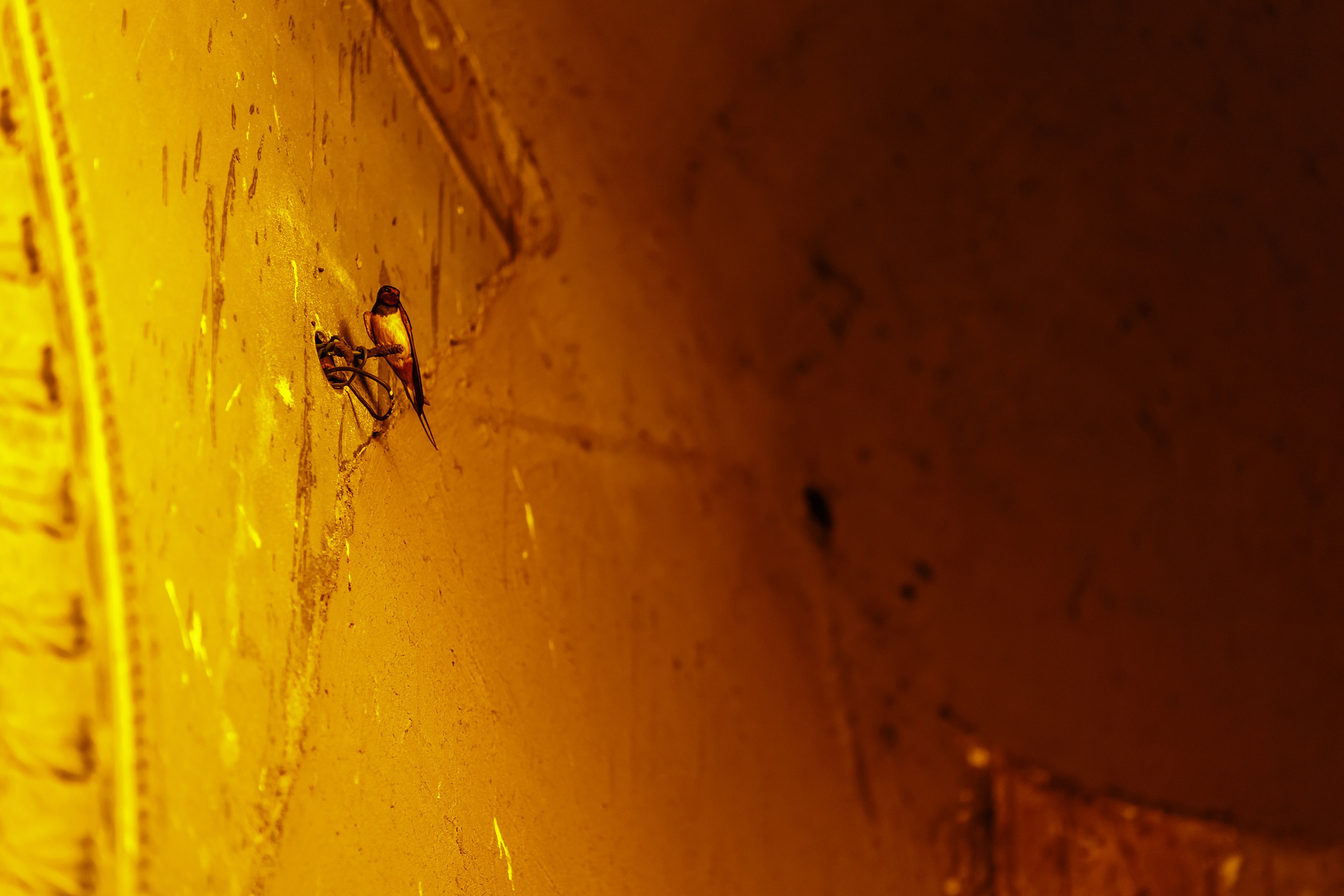 Св.Св. Кирил и Методий Бургас. Фотограф Ирина Йотова