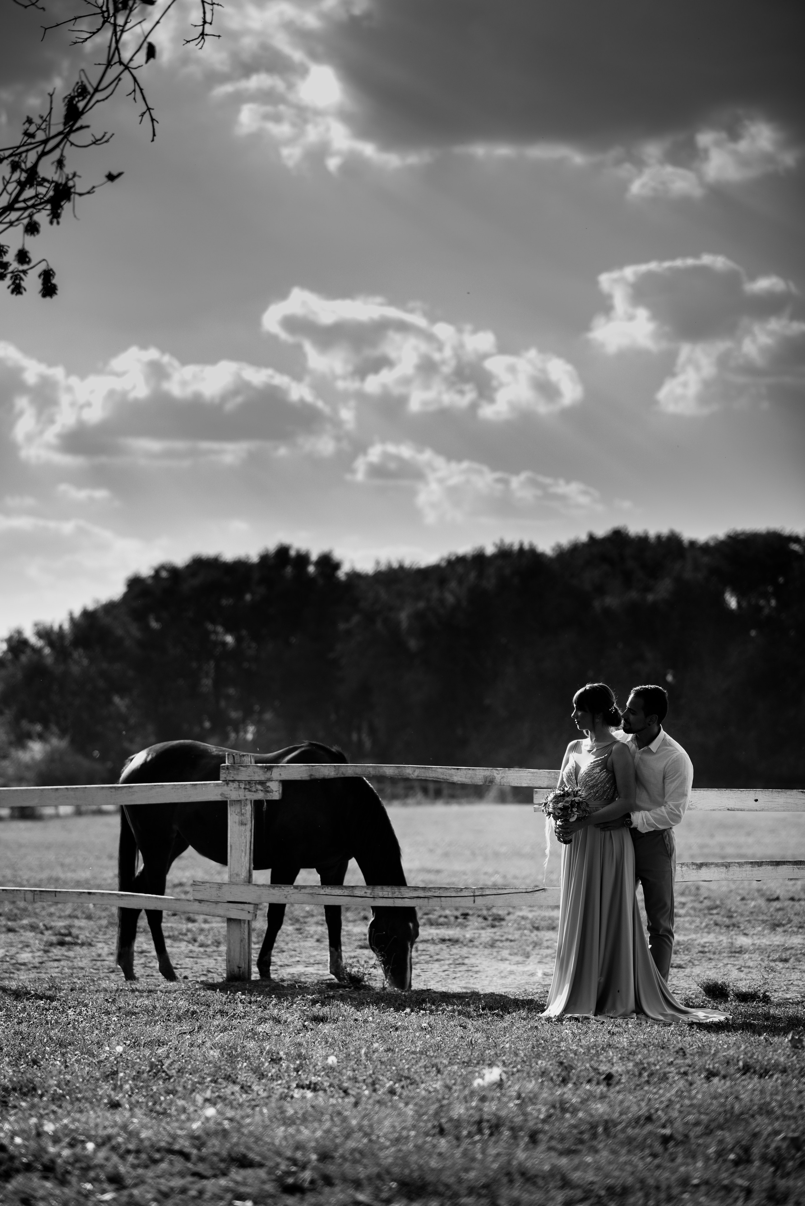 Wedding portfolio. Andrej Hicil Wedding and Portrait photographer