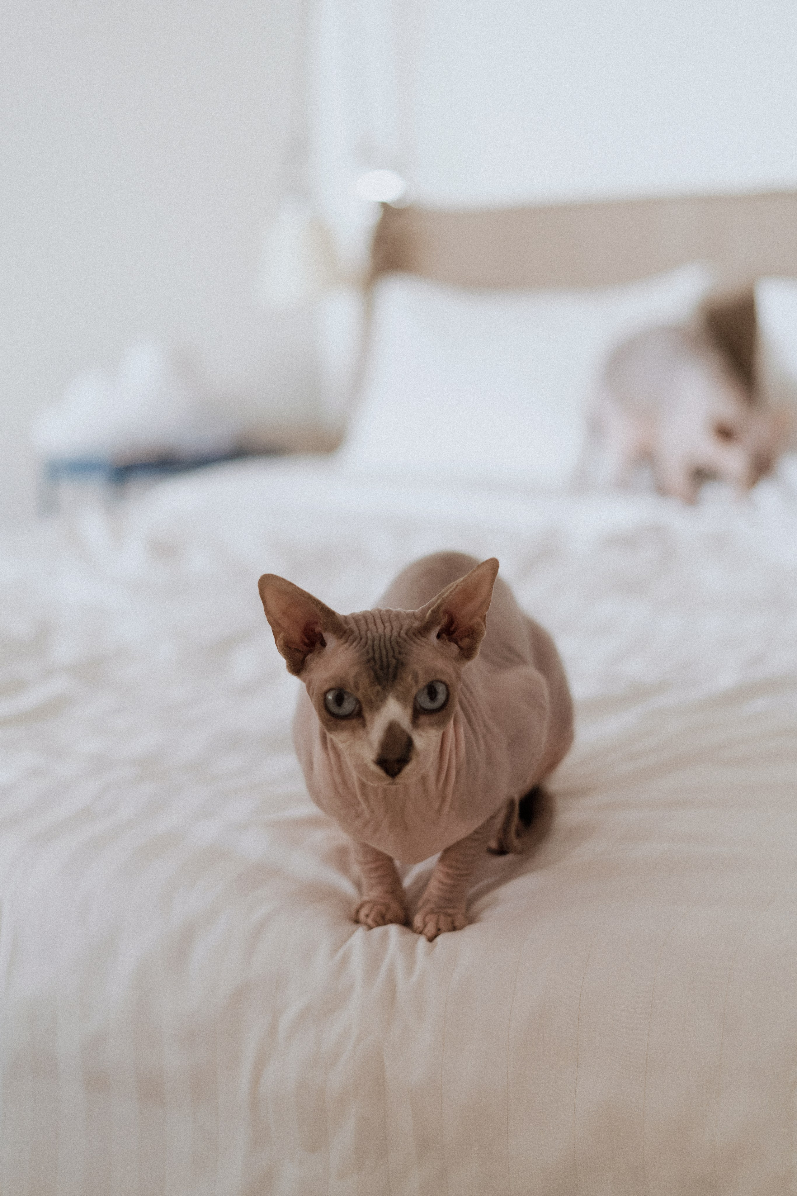 Marija ir Eimantas. Fotografė Agnė Navickaitė