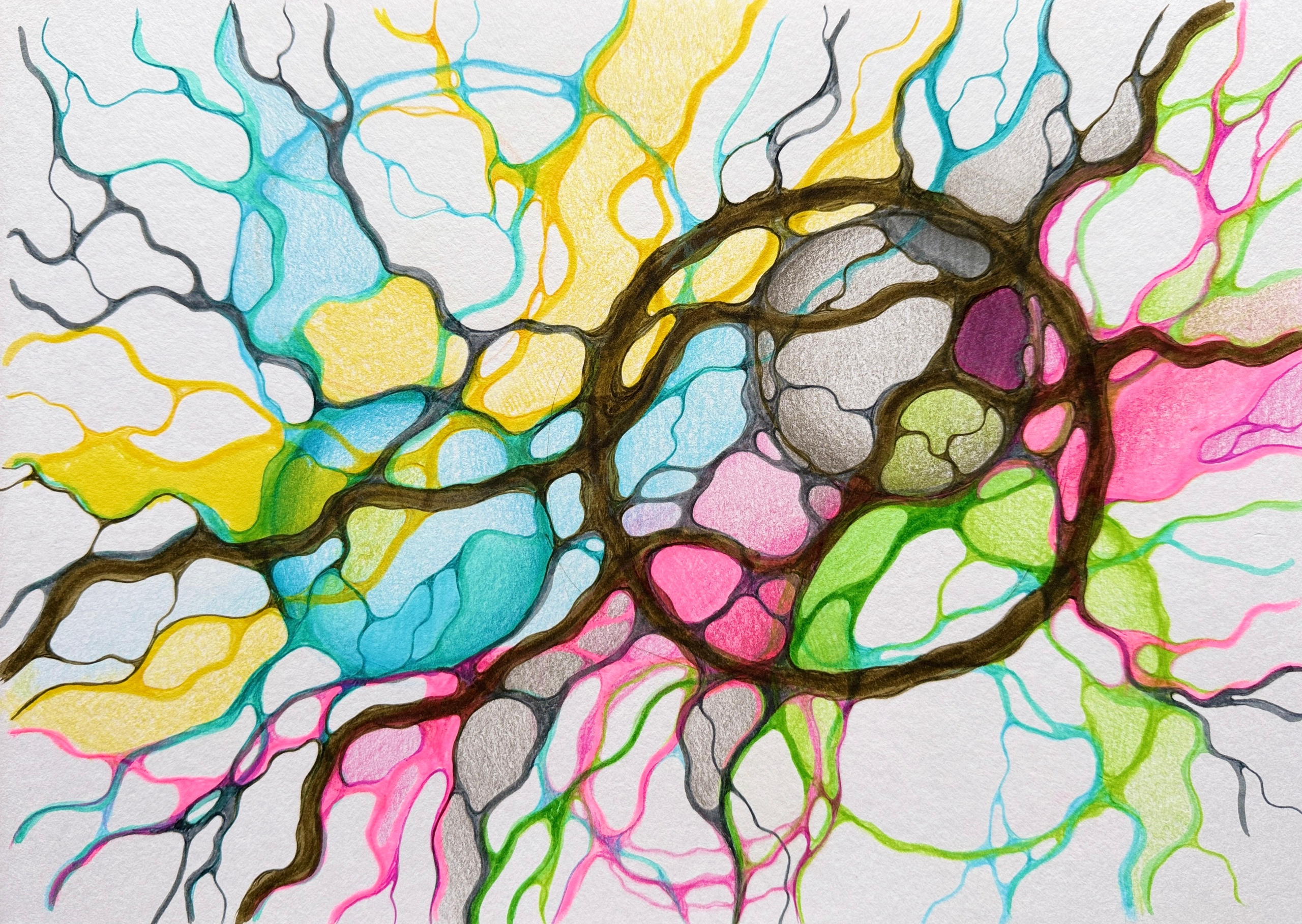 Moje slike. Numerologija. Nevrografika. Delavnice