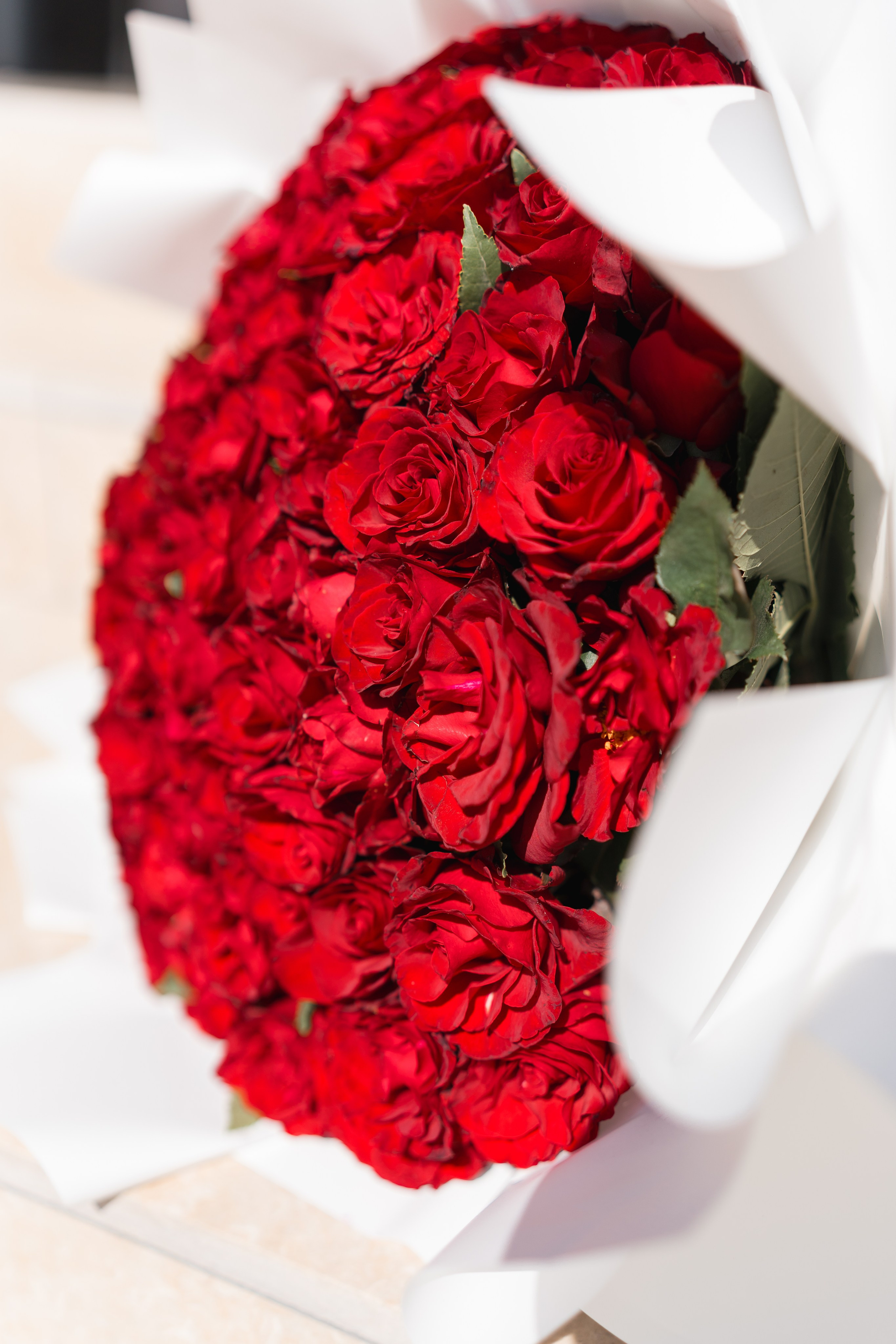 STEFAN & INA - CUNUNIE CIVILA. Fotograf Nuntă | Lucian Murgeanu - Fotograf Profesionist Evenimente