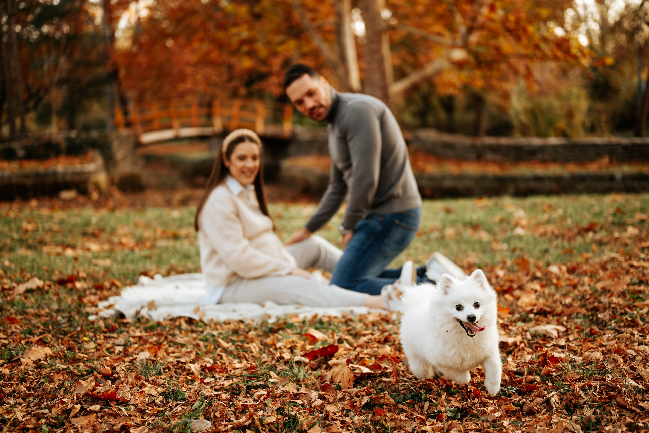 Isidora i Nikola - trudničko fotografisanje. Dečiji i porodični fotograf