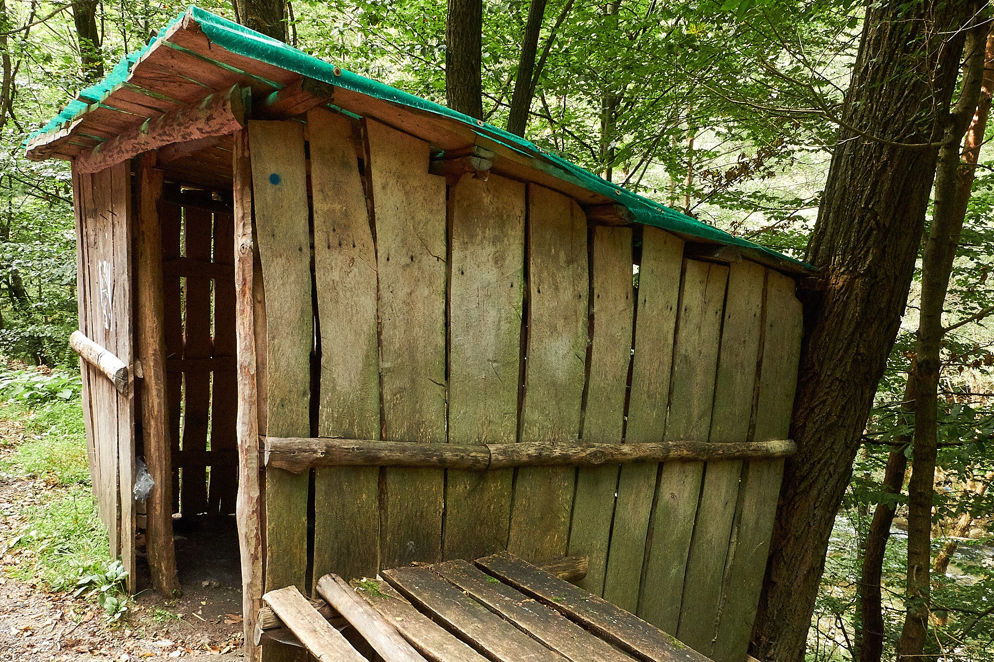 Ineleț, jud. Caraș-Severin. Pagina principală