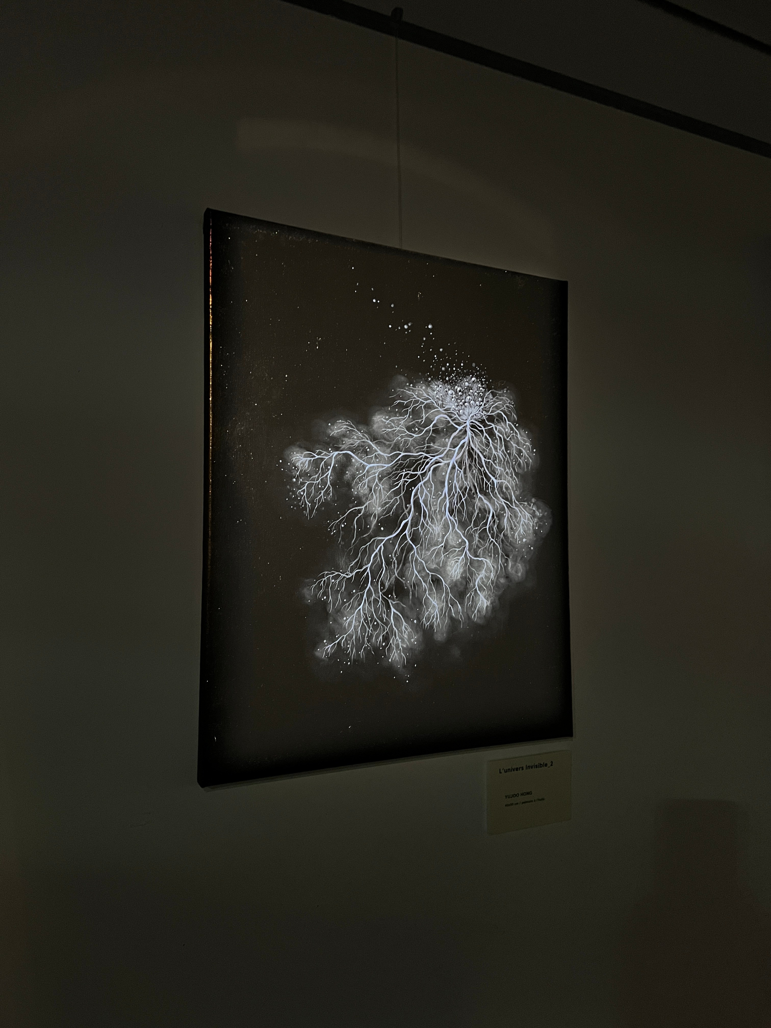 Jardin imaginé.2025. Yujoo HONG