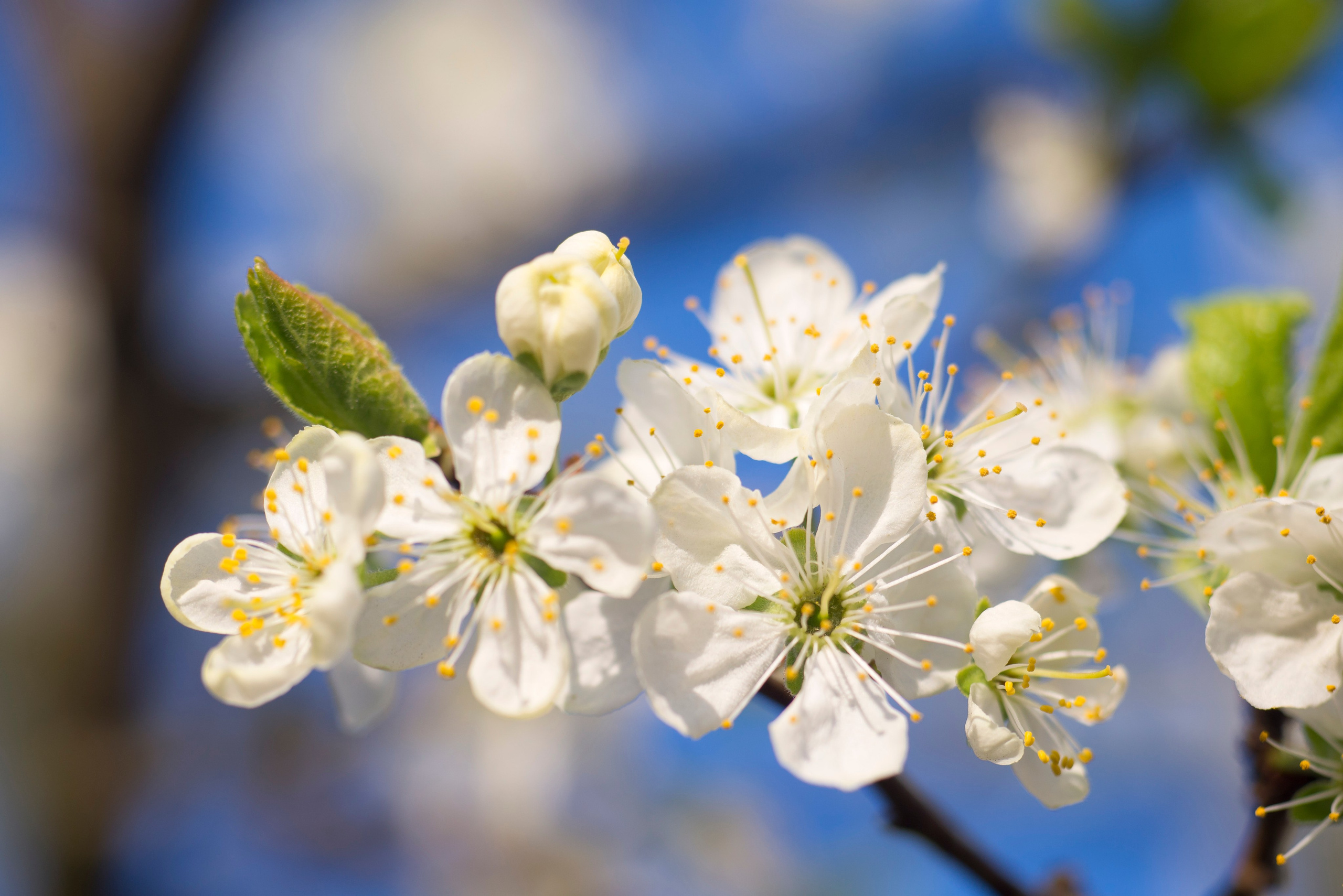 Nature. Ritvars Pujats Emotion Photographer