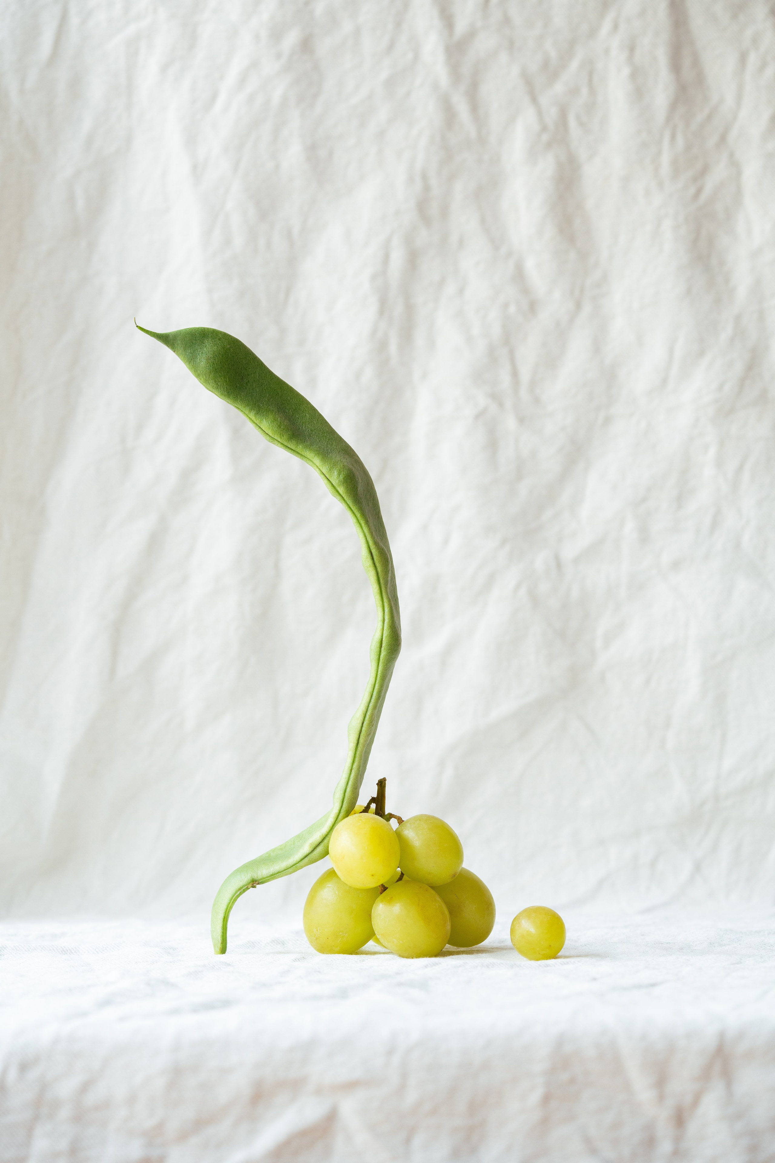 Grapes and Green Bean Artistic Composition. Minimalist still life of a cluster of green grapes paired with a single green bean on a textured white background.