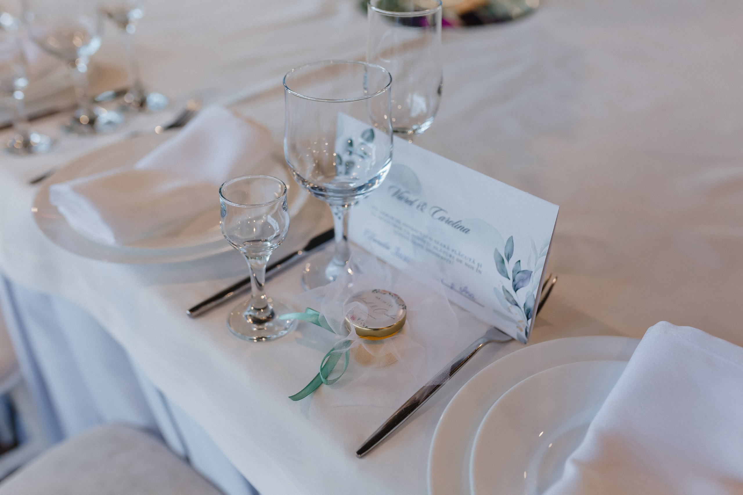 Viorel & Carolina. Standart Studio - Servicii foto video pentru nuntă în Moldova Chișinău