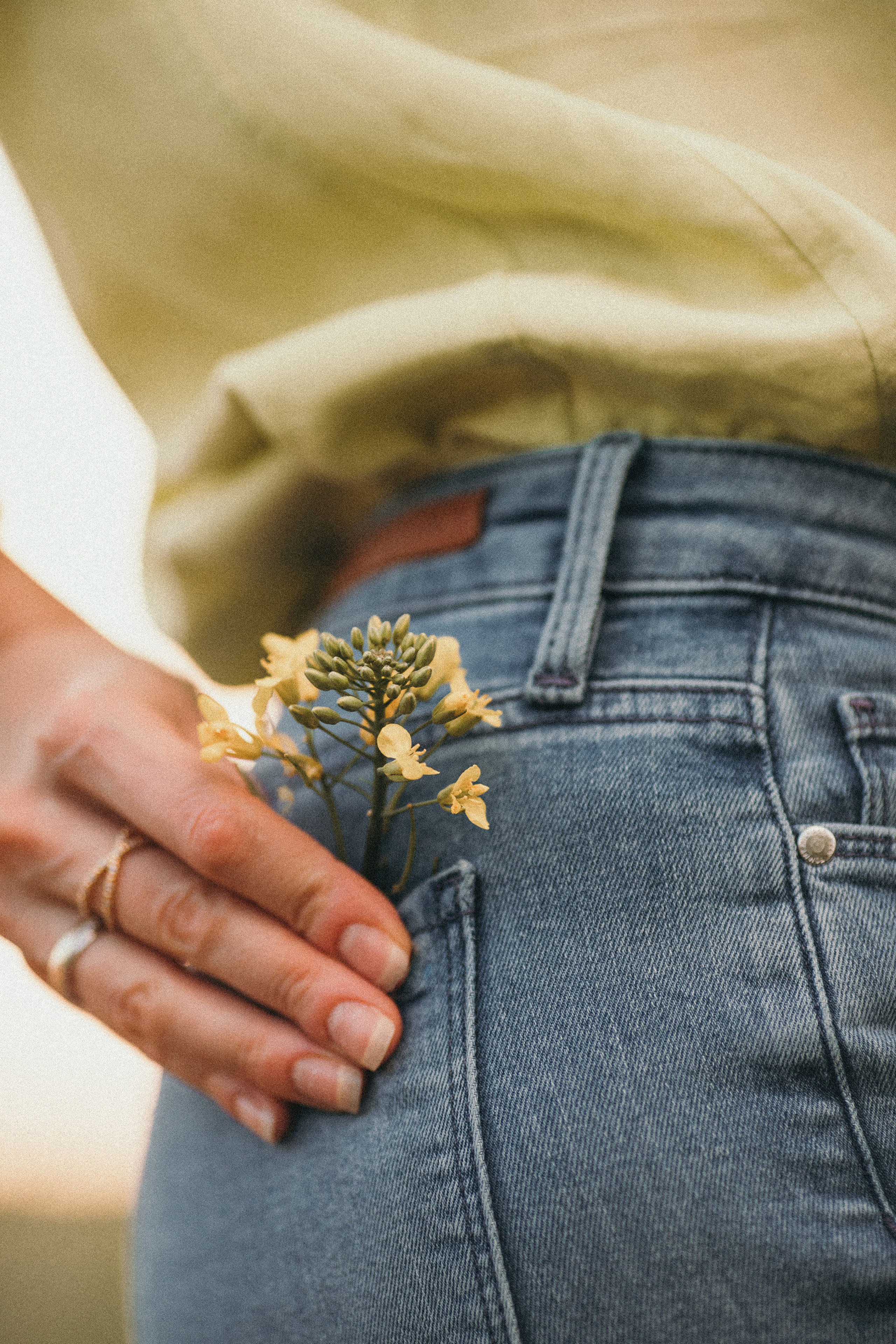 Blühende Rapsfelder im Frühling. Kristina Podolyakova - Fotografin in Ludwigsburg
