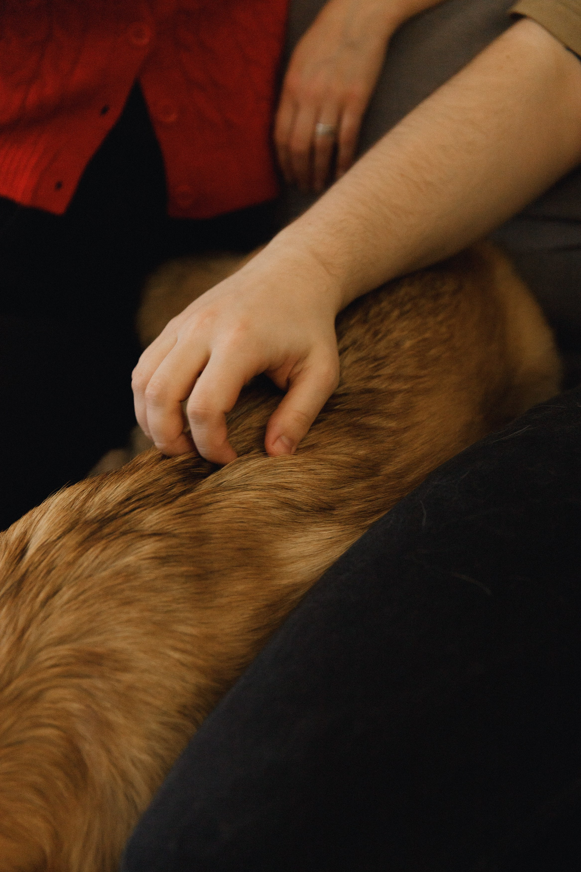 Dasha & Daisy. Kaja | fotograf psów we Wrocławiu