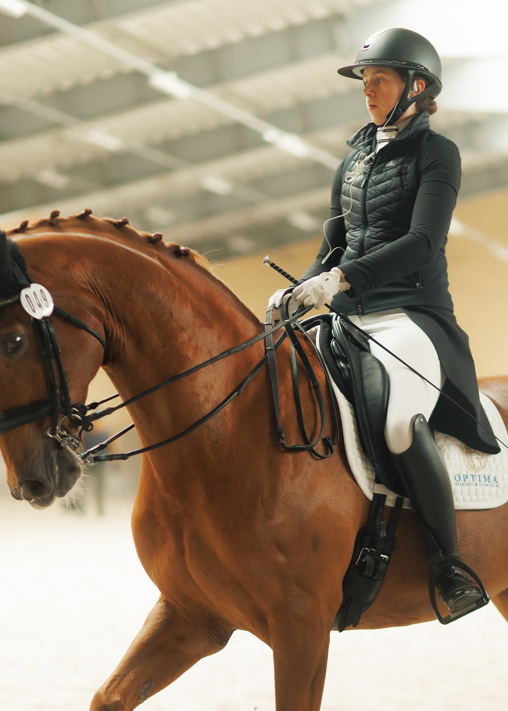 Partynice dressage \ feb'25. Kaja | fotograf we Wrocławiu | ludzie i psy