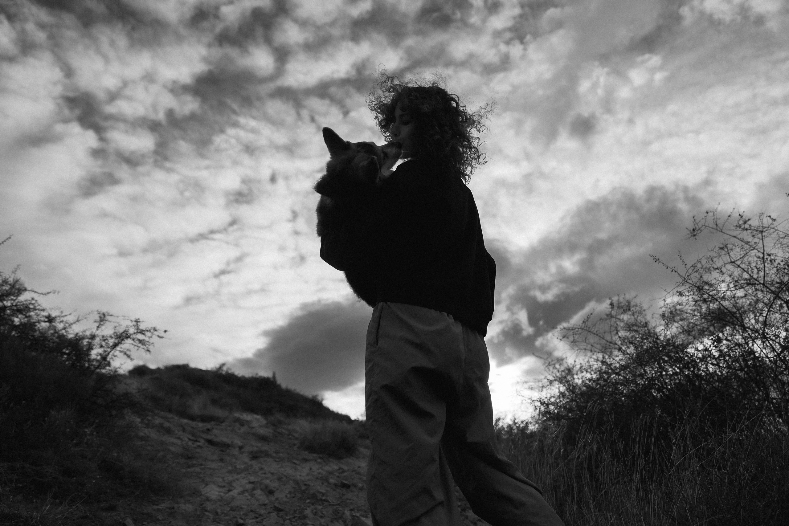 Sasha & Leonid. Kaja | fotograf psów we Wrocławiu