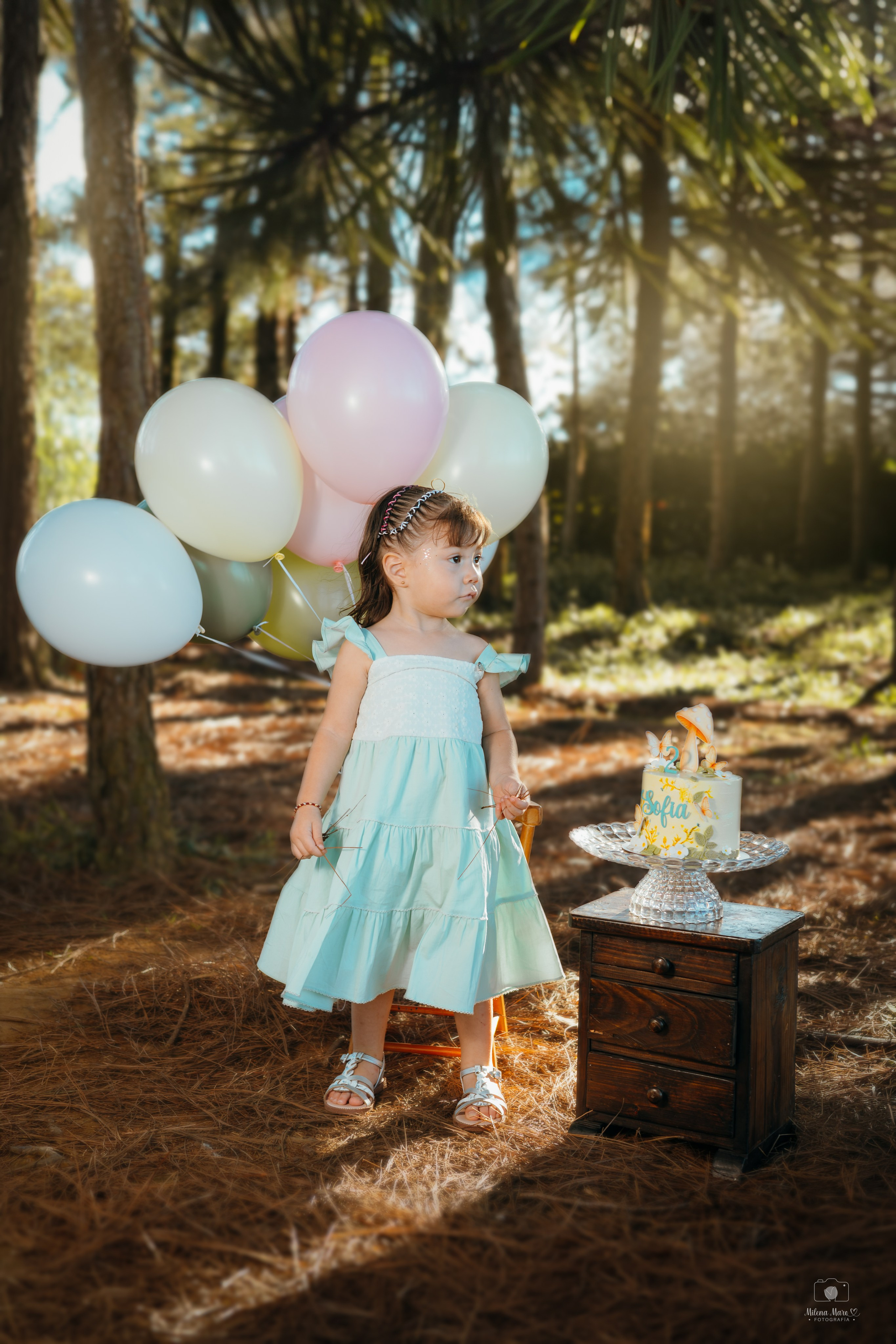 SESIÓN DE FOTOS DOS AÑOS. Milena Maro Fotografía: estudio profesional en Acacías, Meta. Retrato familiar, infantil, maternas, eventos y empresas