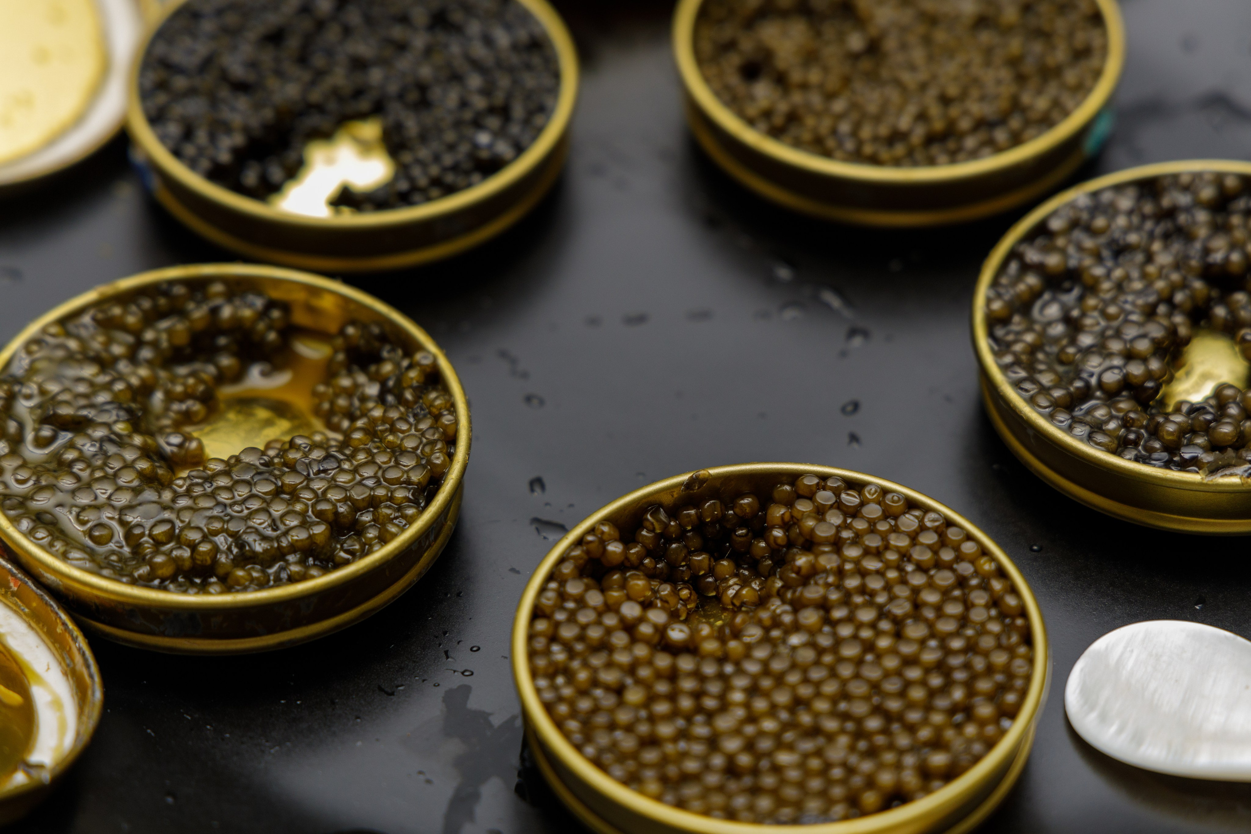 Caviar