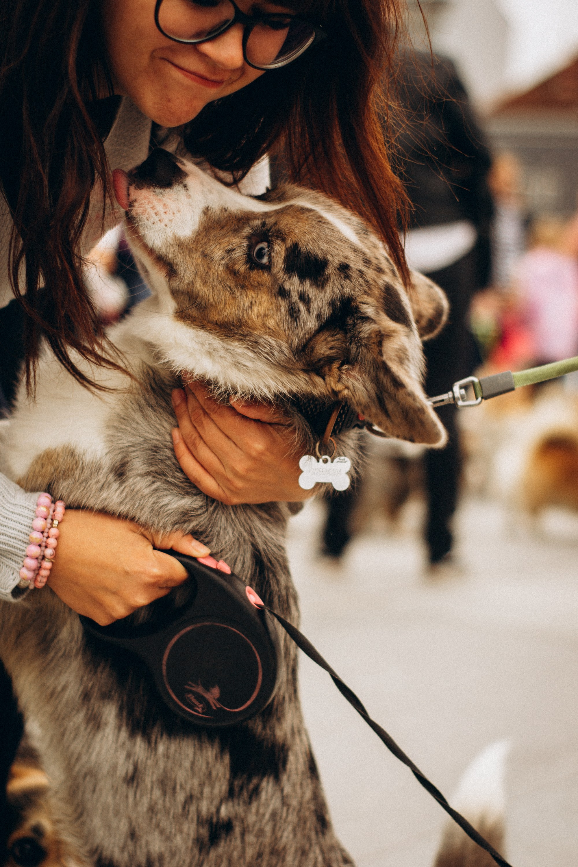 Corgi party, september. Kat Laisaar — Pet photographer in Tallinn