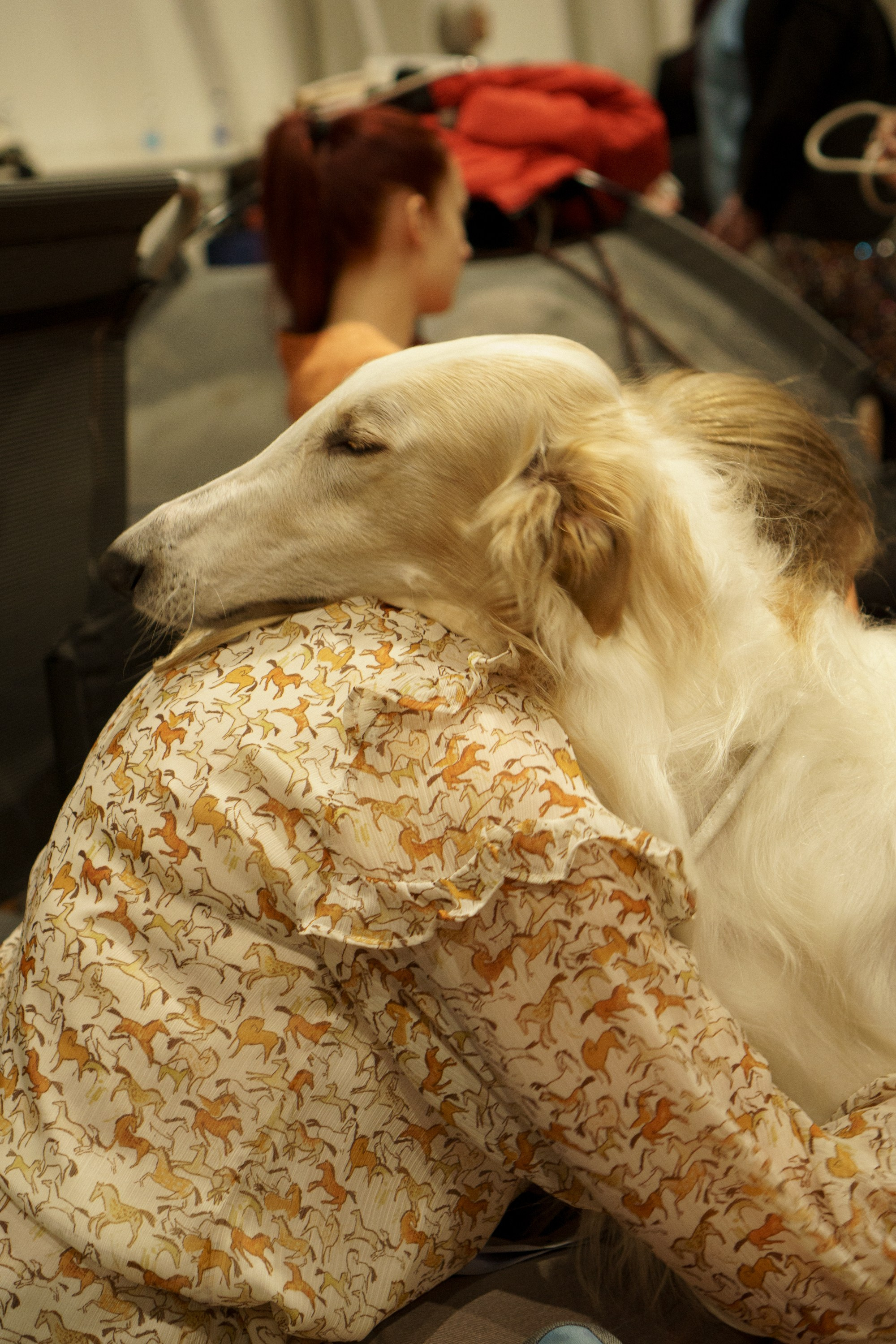 Tartu International Dog Show. Kat Laisaar — Pet photographer in Tallinn