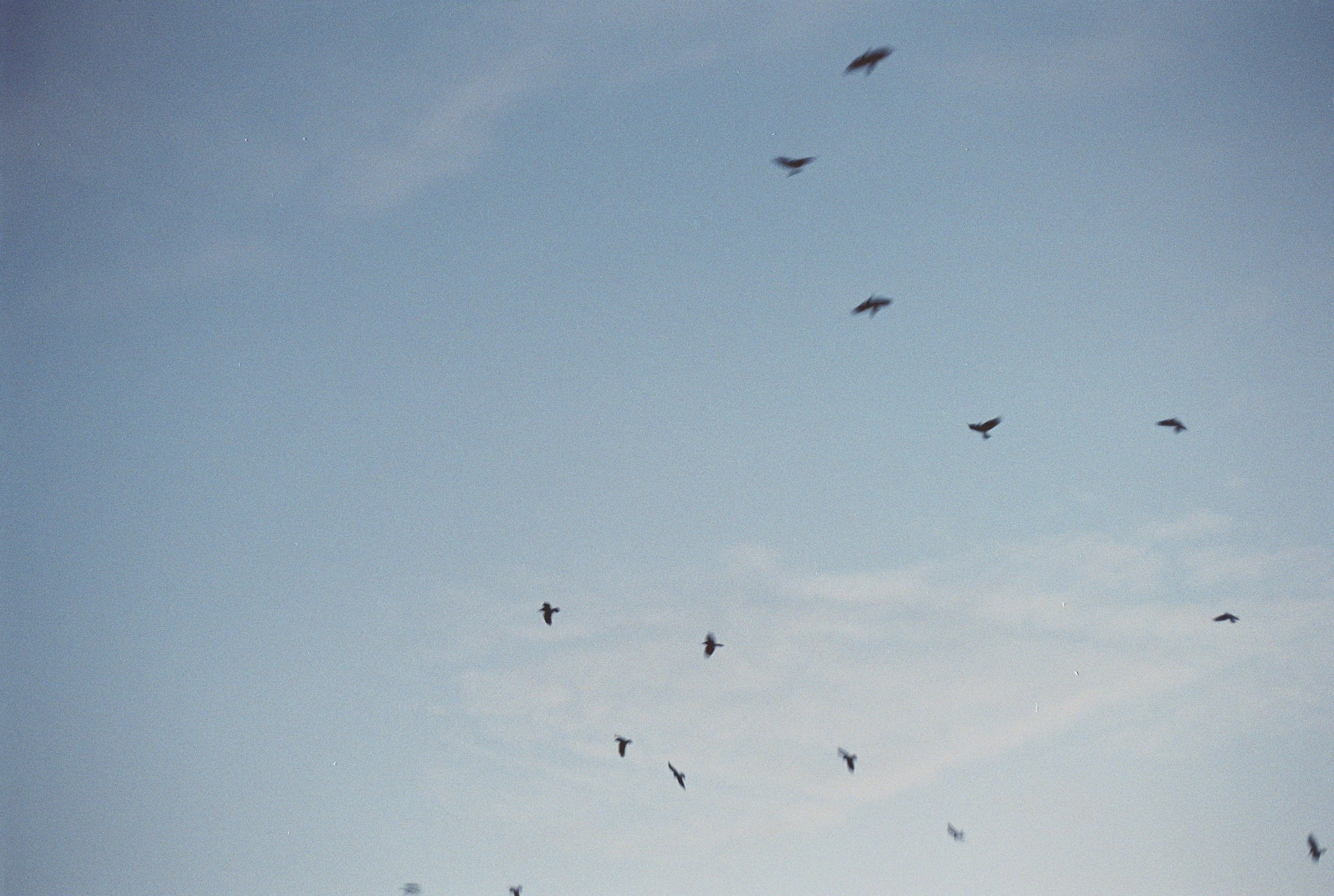 Saint-Petersburg (2020-2023)_1. Elena Zykova film photographer in London