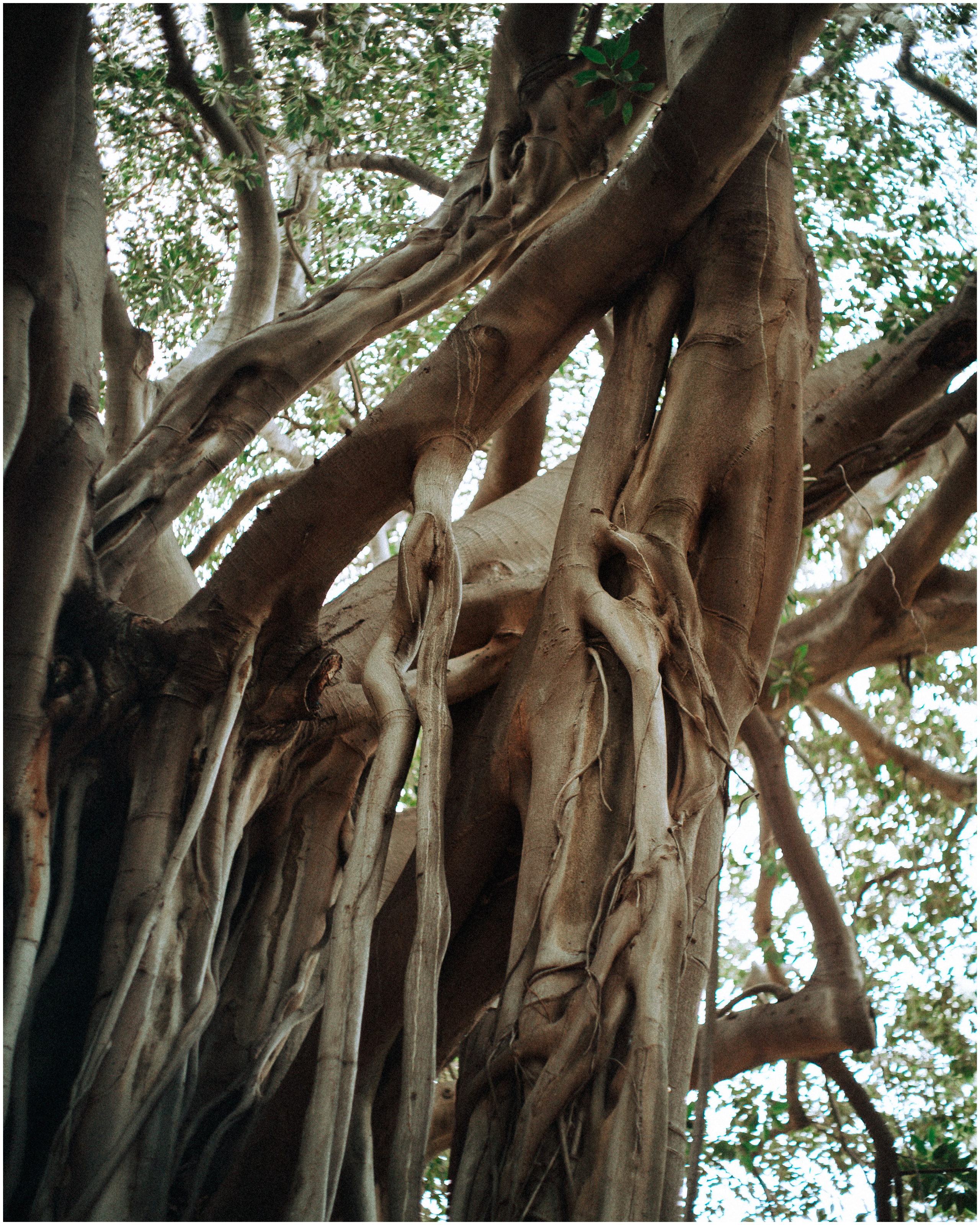 PALERMO. Photographer Inna Mendelson