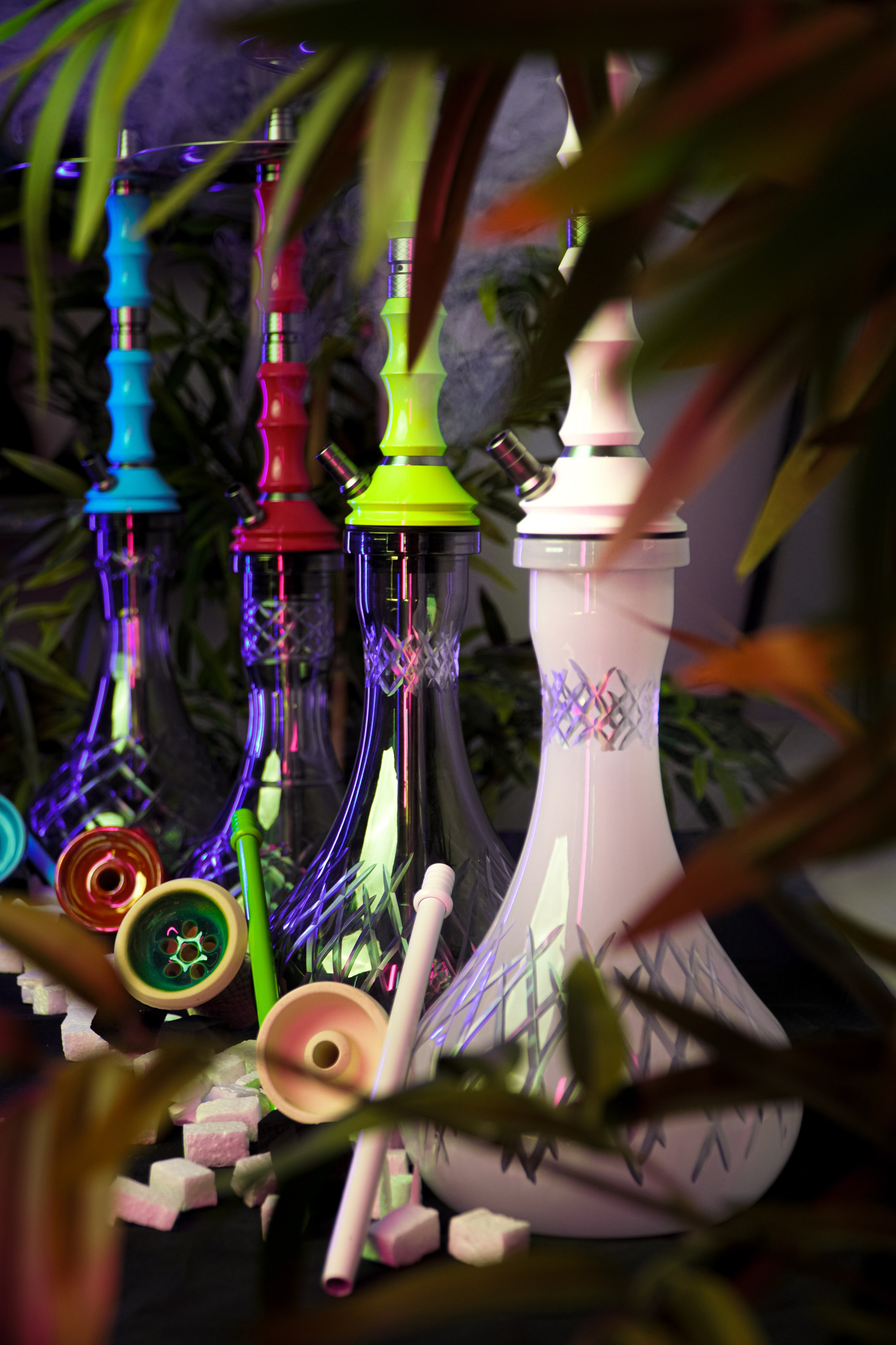 Cachimbas. Baby Beast