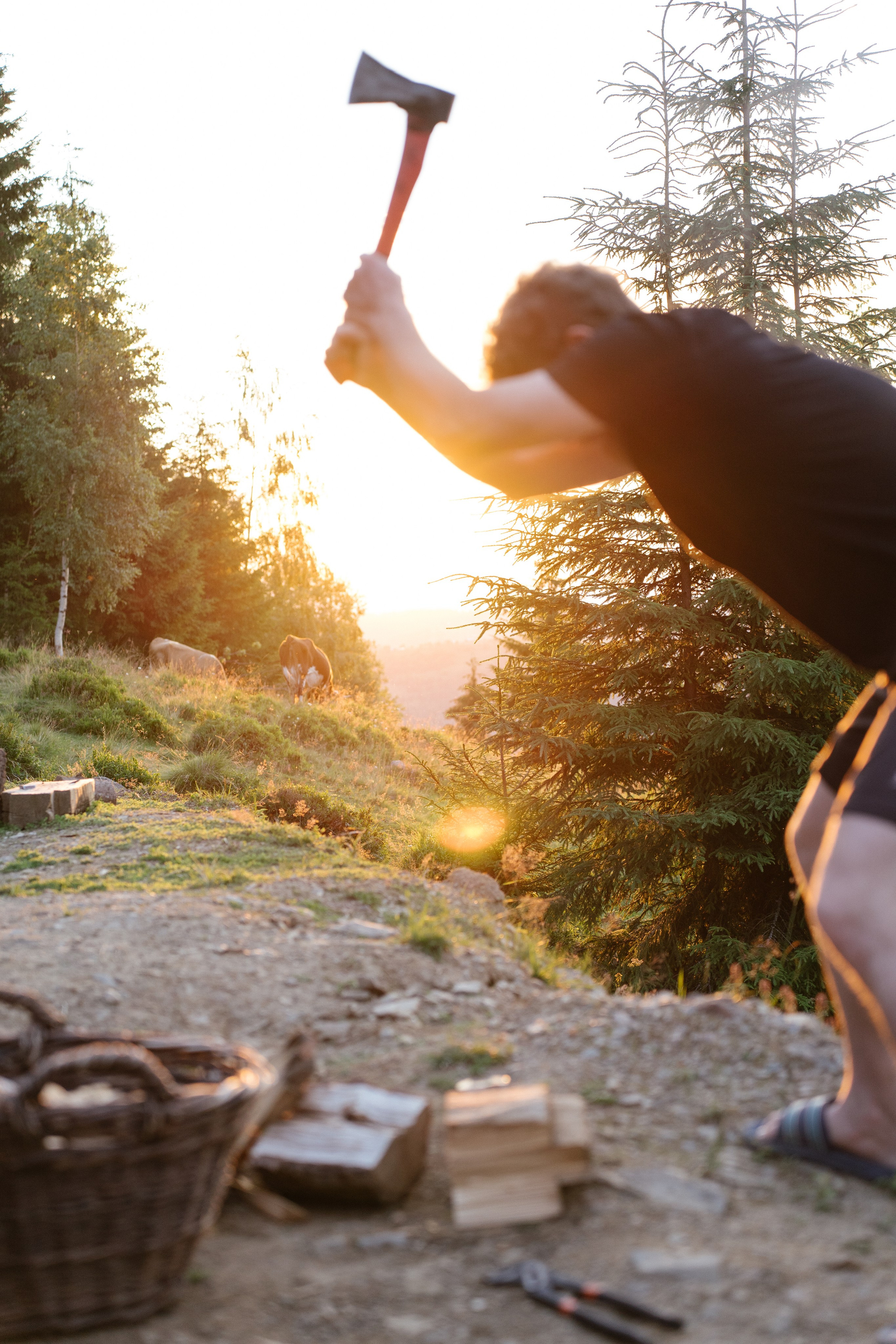 Airbnb Photos. Patricia Morenci — Mountain Adventures for the Wild at Heart