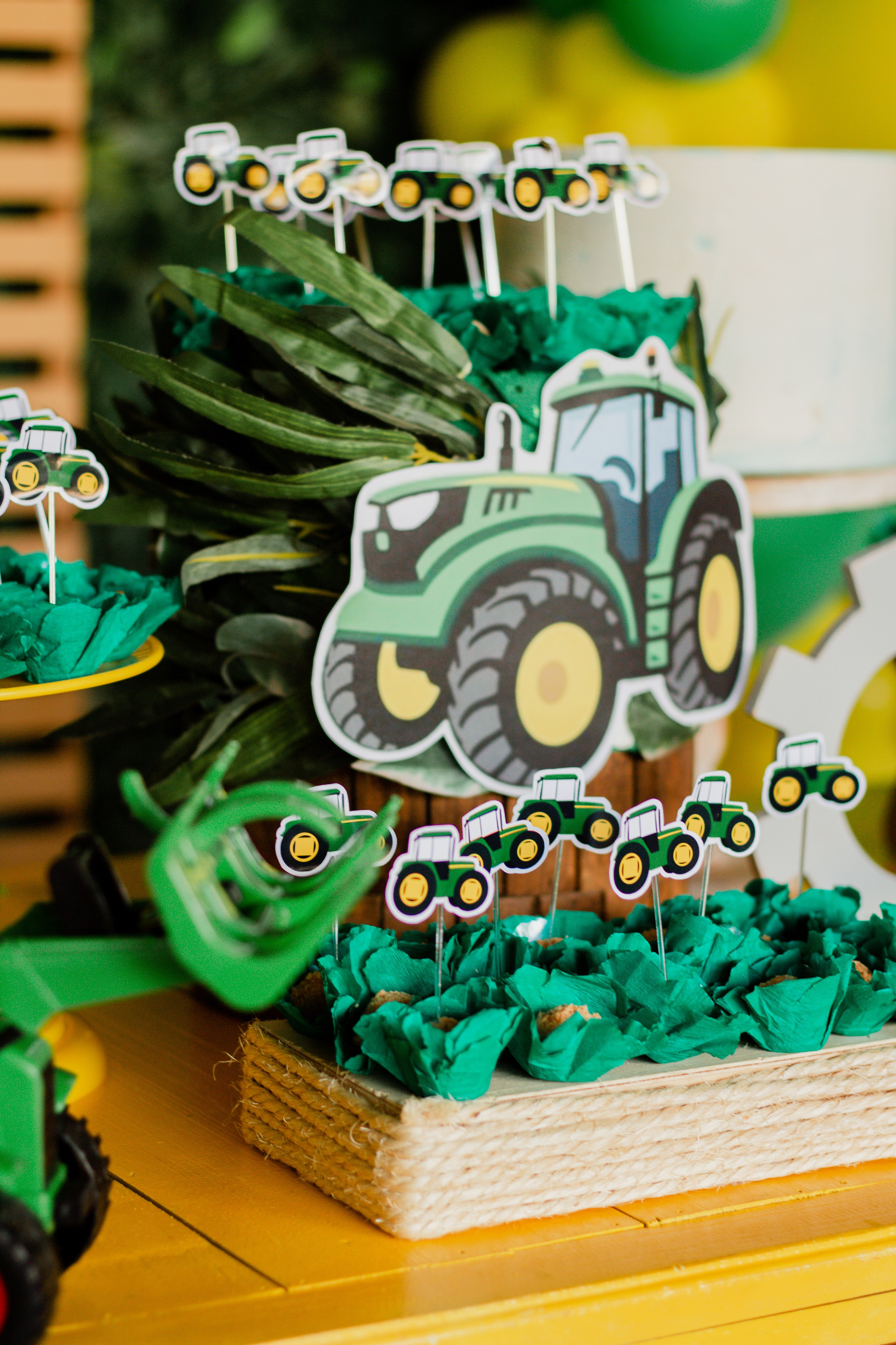 Fotografia de Aniversário Infantil em Holambra – Theo, 2 anos | Joyce Maria. Joyce Maria Fotografia | Fotógrafa em Holambra